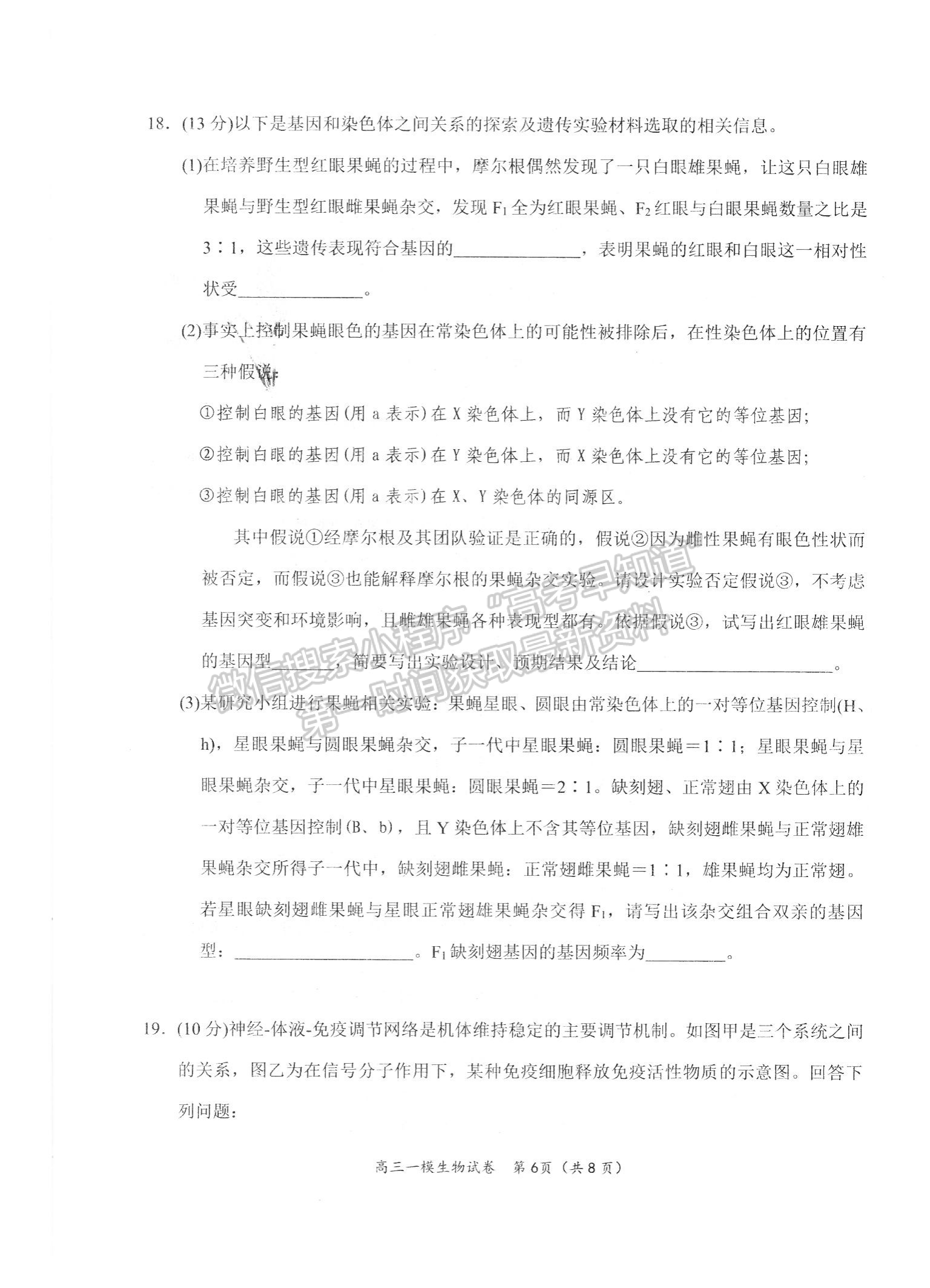 2022屆湖南省岳陽市高三教學(xué)質(zhì)量監(jiān)測 （一模）生物試題及答案