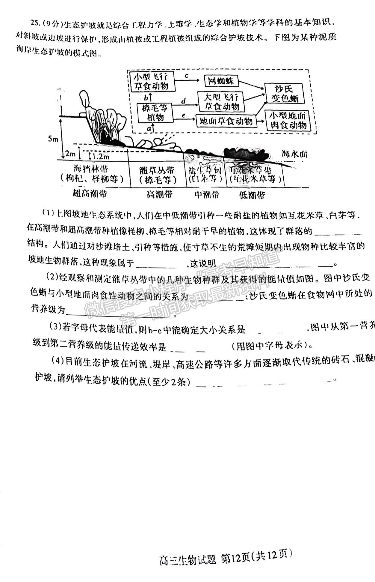 2022屆山東泰安市高三期末考試 生物試題及參考答案