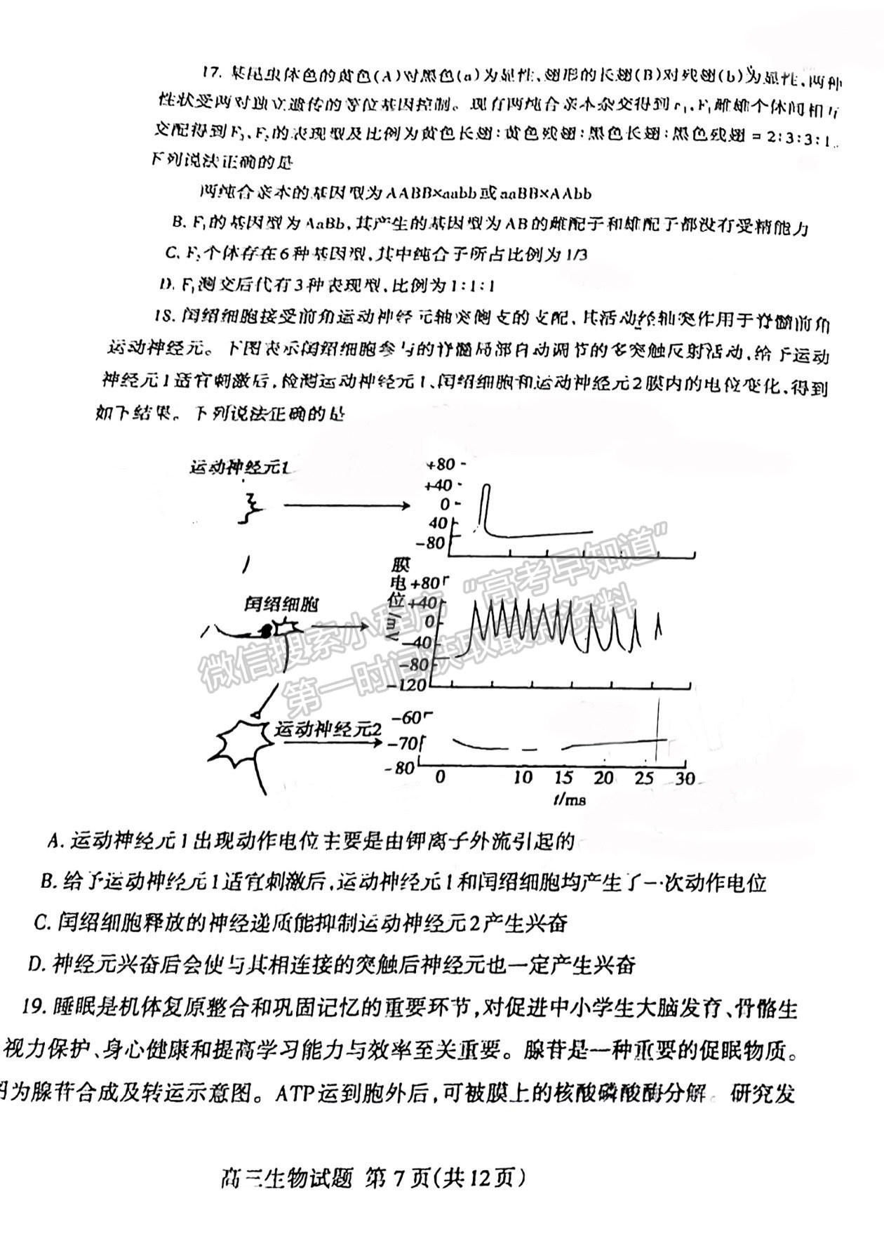 2022屆山東泰安市高三期末考試 生物試題及參考答案