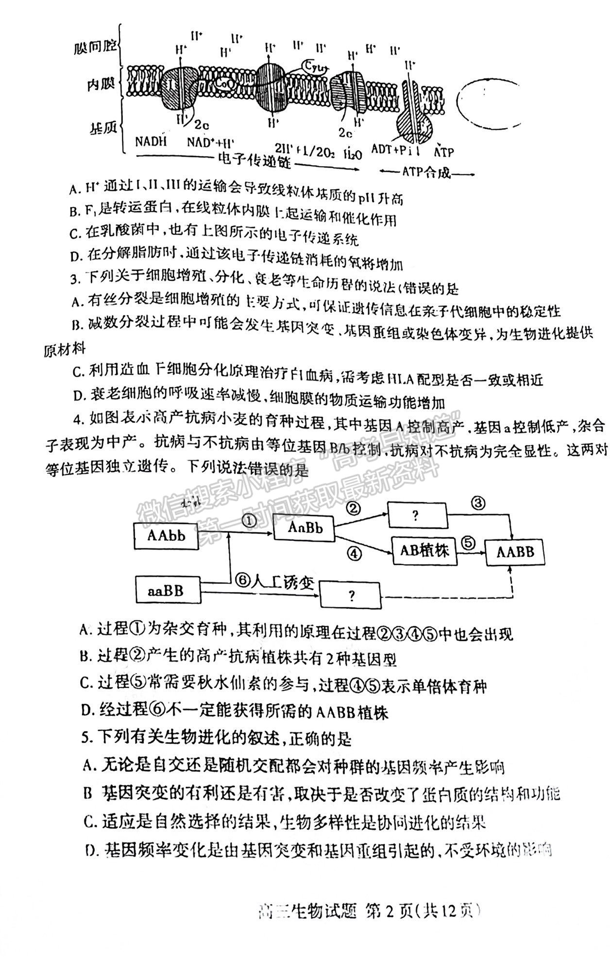 2022屆山東泰安市高三期末考試 生物試題及參考答案