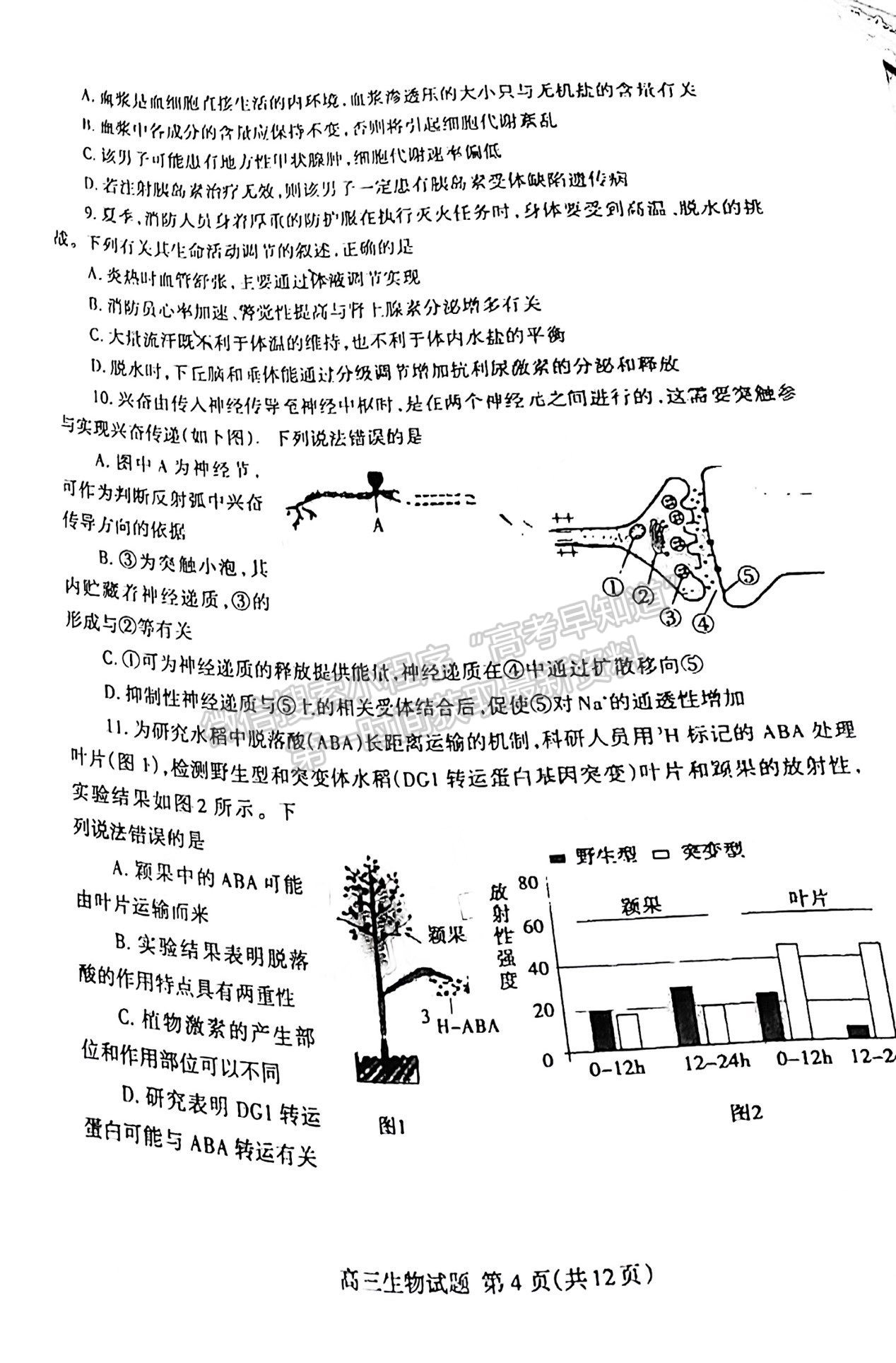 2022屆山東泰安市高三期末考試 生物試題及參考答案