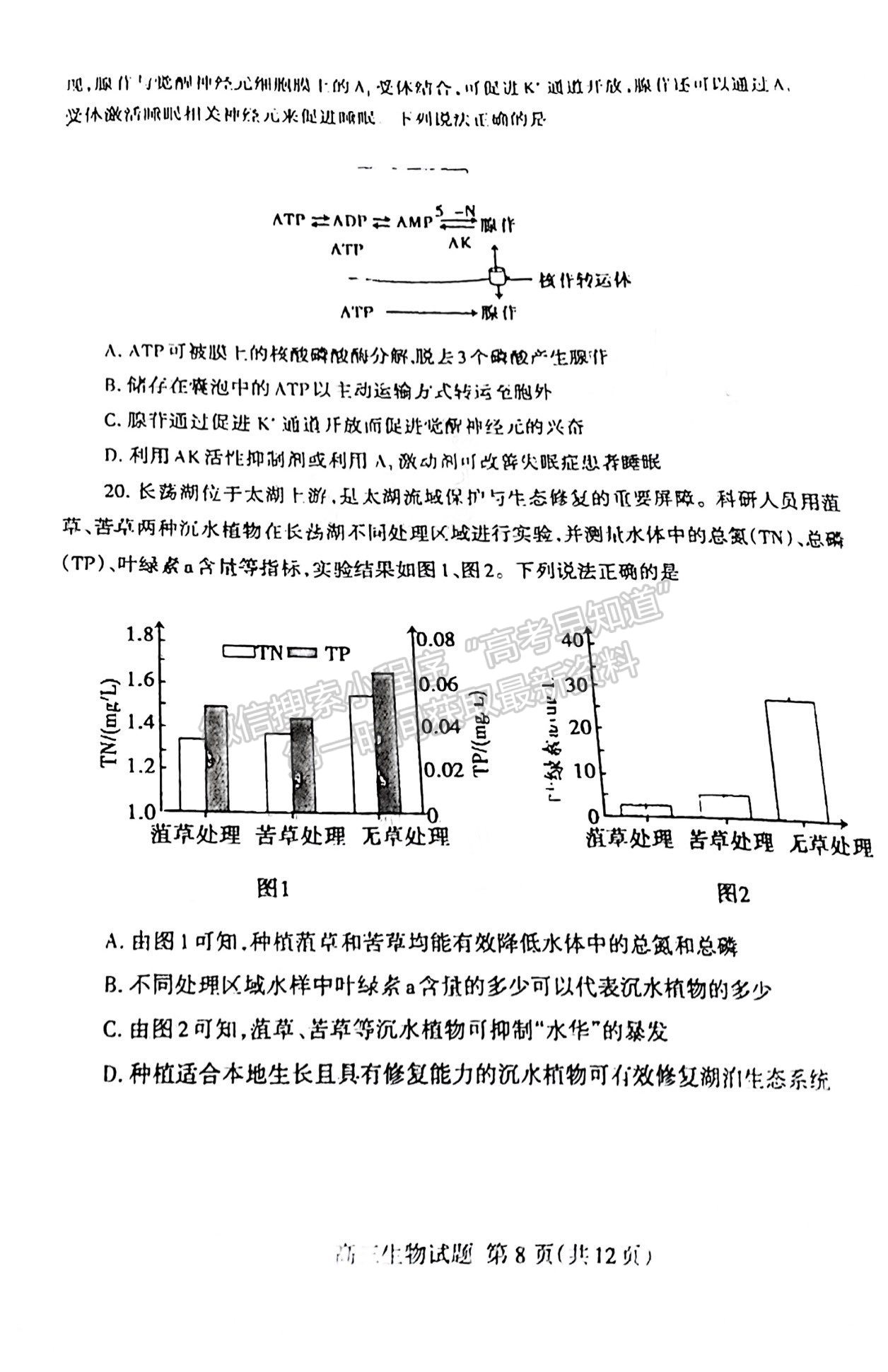 2022屆山東泰安市高三期末考試 生物試題及參考答案