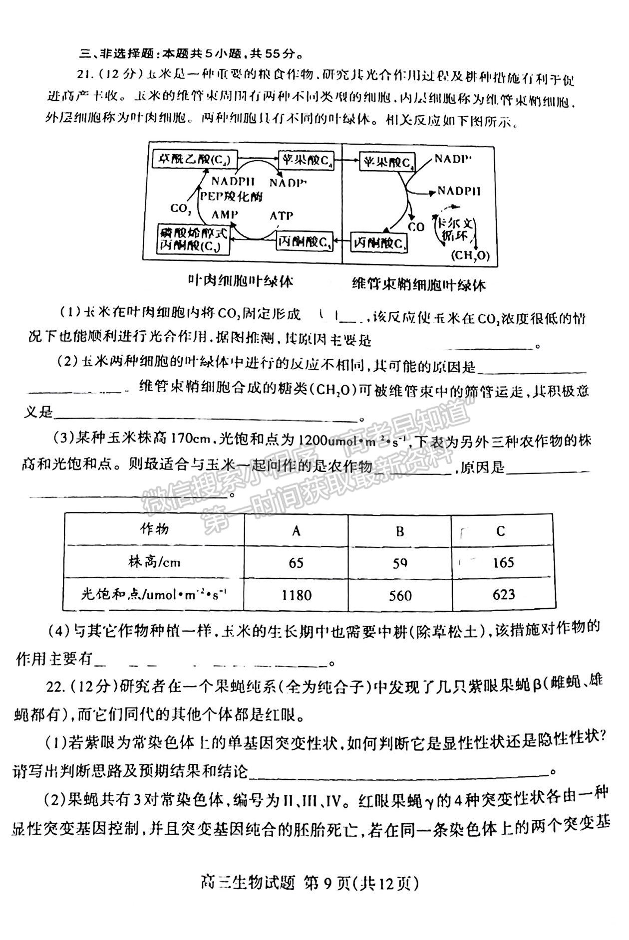 2022屆山東泰安市高三期末考試 生物試題及參考答案