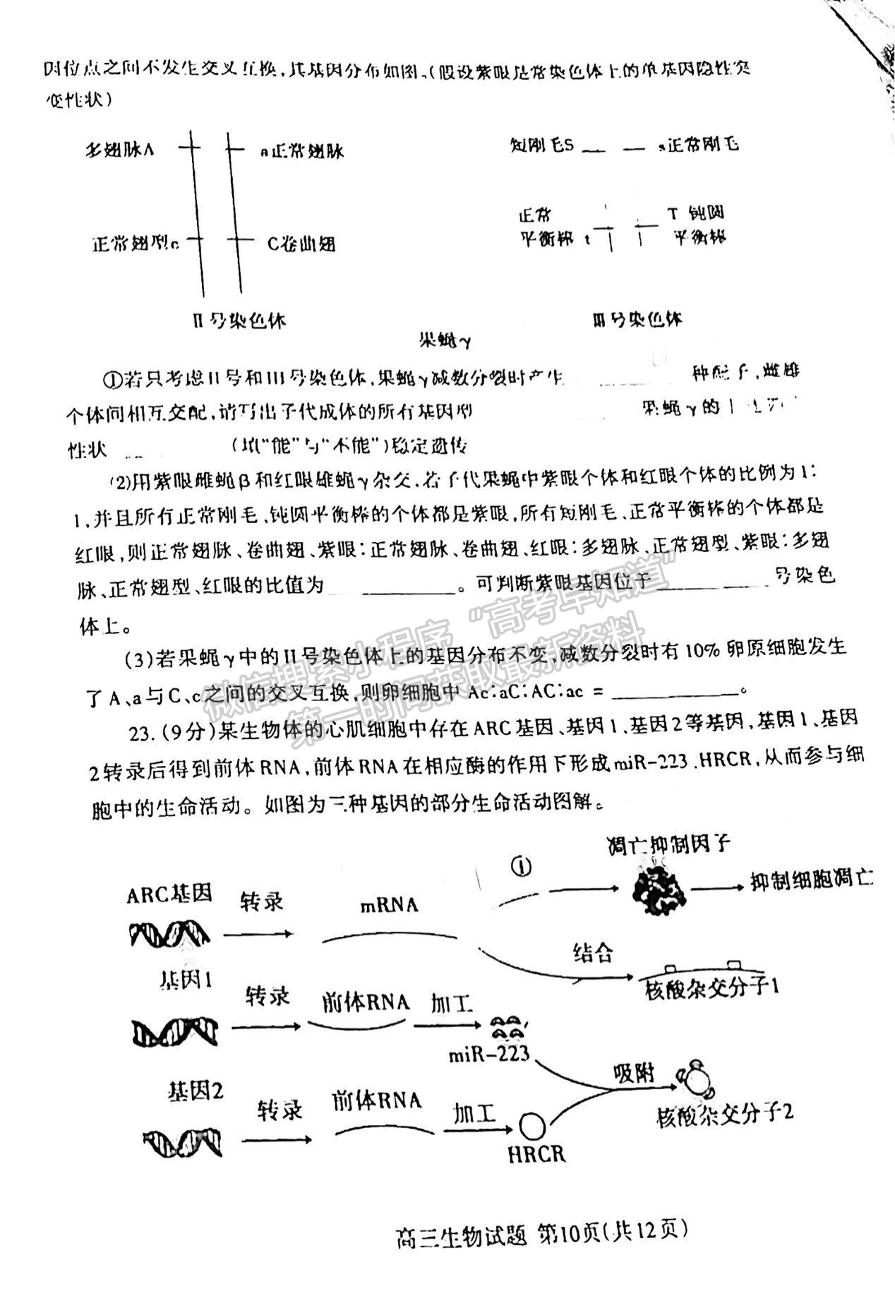 2022屆山東泰安市高三期末考試 生物試題及參考答案