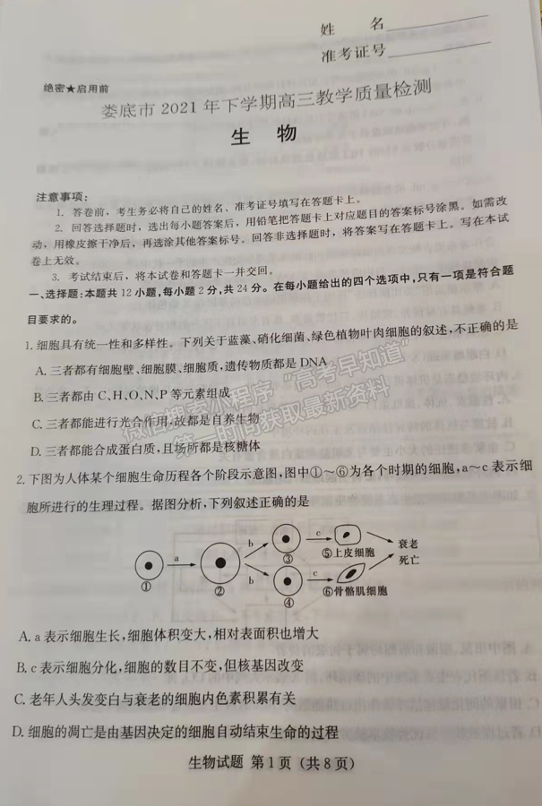 2022屆湖南省婁底市高三期末教學質(zhì)量檢測生物試題及答案