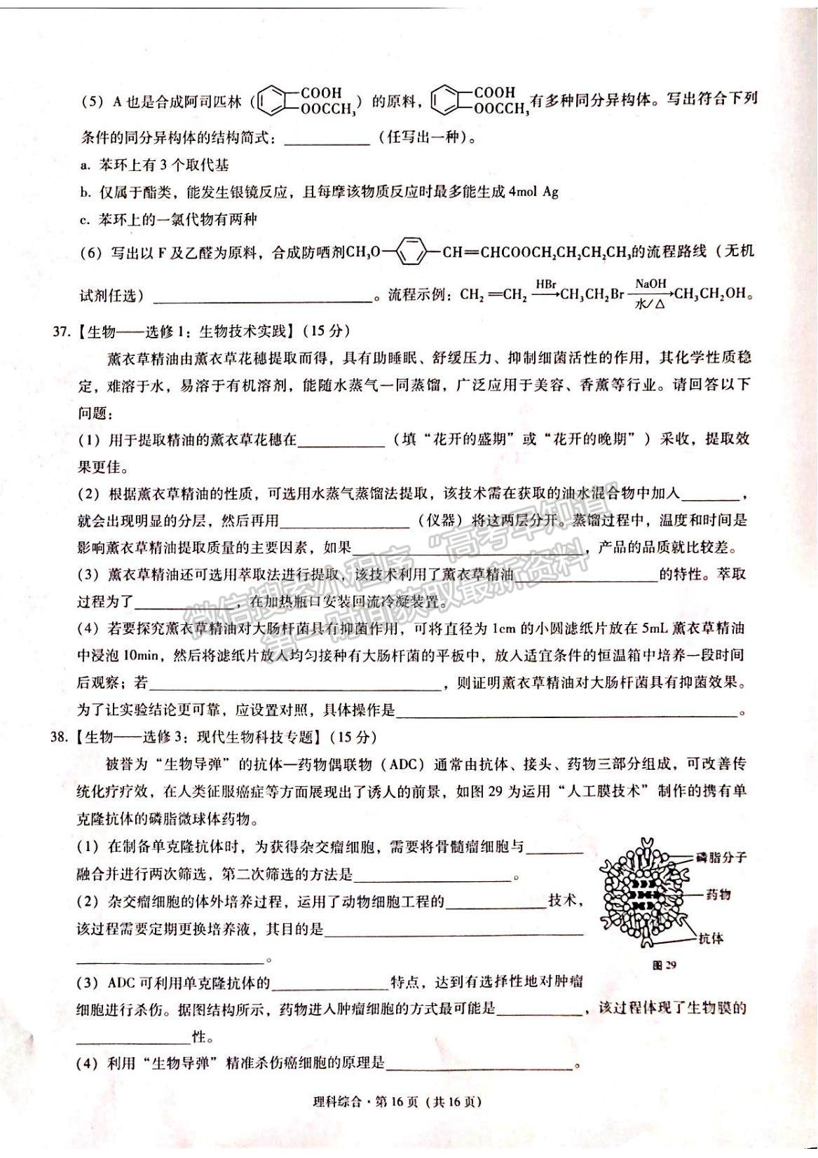 2022云南省昭通市高中畢業(yè)診斷性檢測理綜試題及參考答案