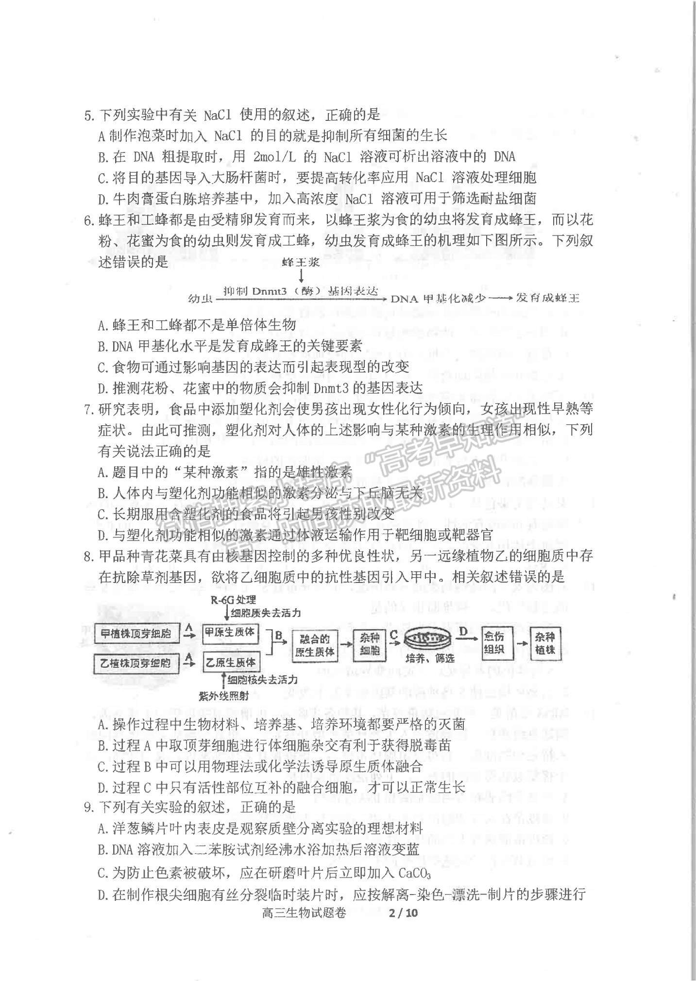 2022遼寧省營(yíng)口市高三上學(xué)期期末教學(xué)質(zhì)量檢測(cè)生物試題及參考答案