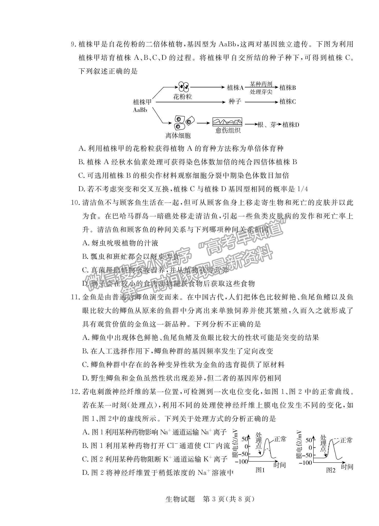 2022廣東省肇慶市高三二模生物試題及參考答案