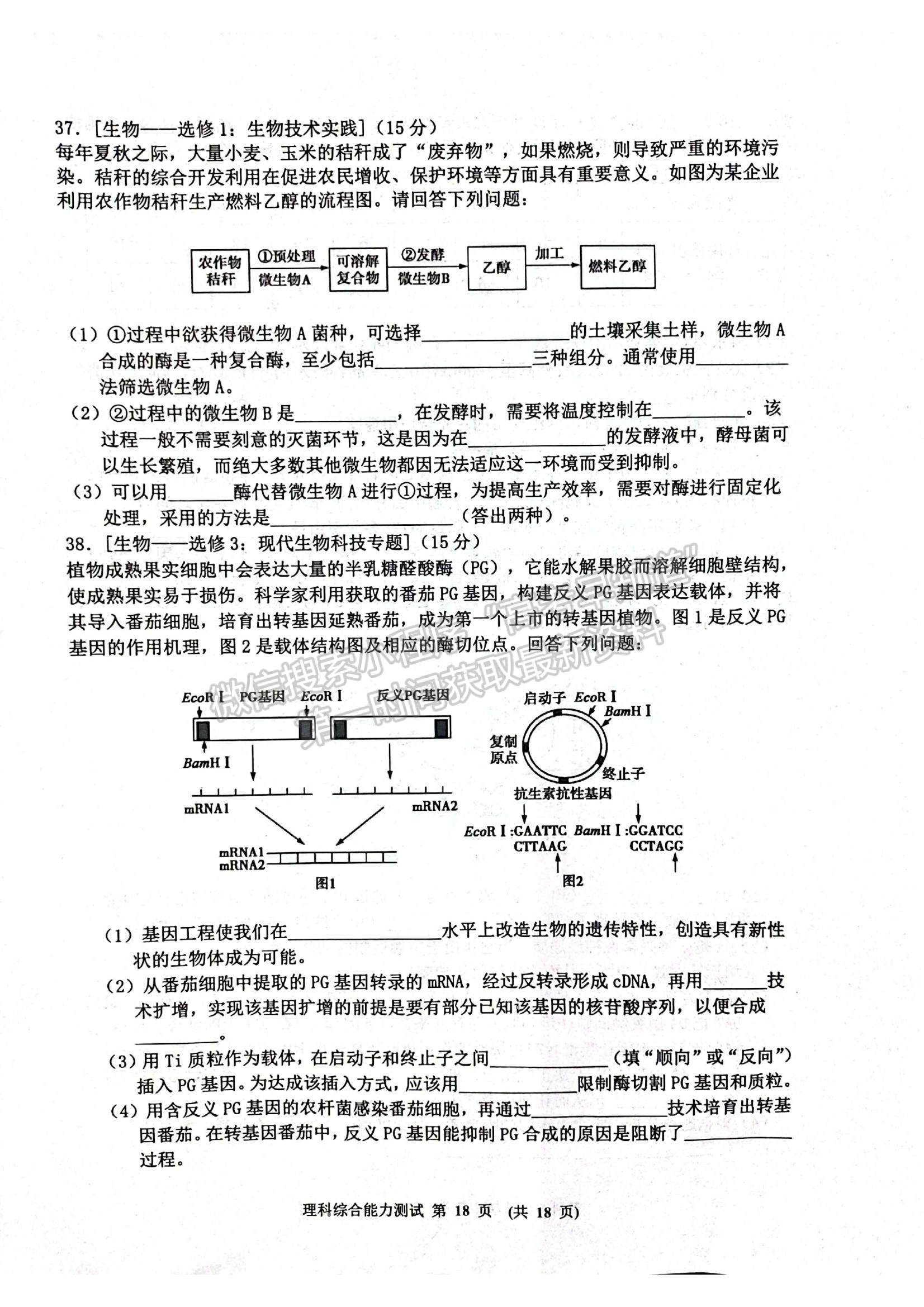 2022江西省新余市高三上學(xué)期期末質(zhì)量檢測理綜試題及參考答案