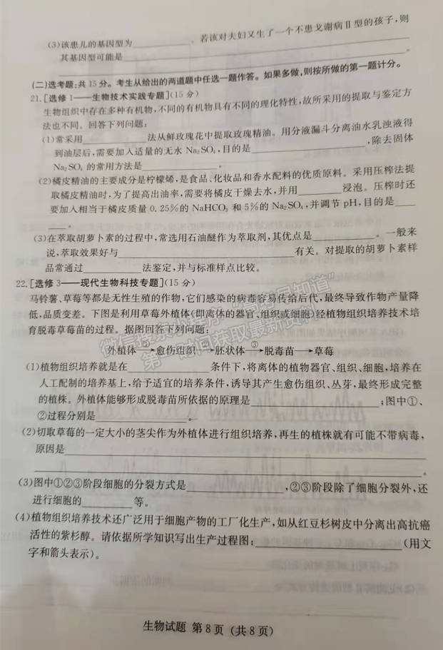 2022屆湖南省婁底市高三期末教學(xué)質(zhì)量檢測生物試題及答案