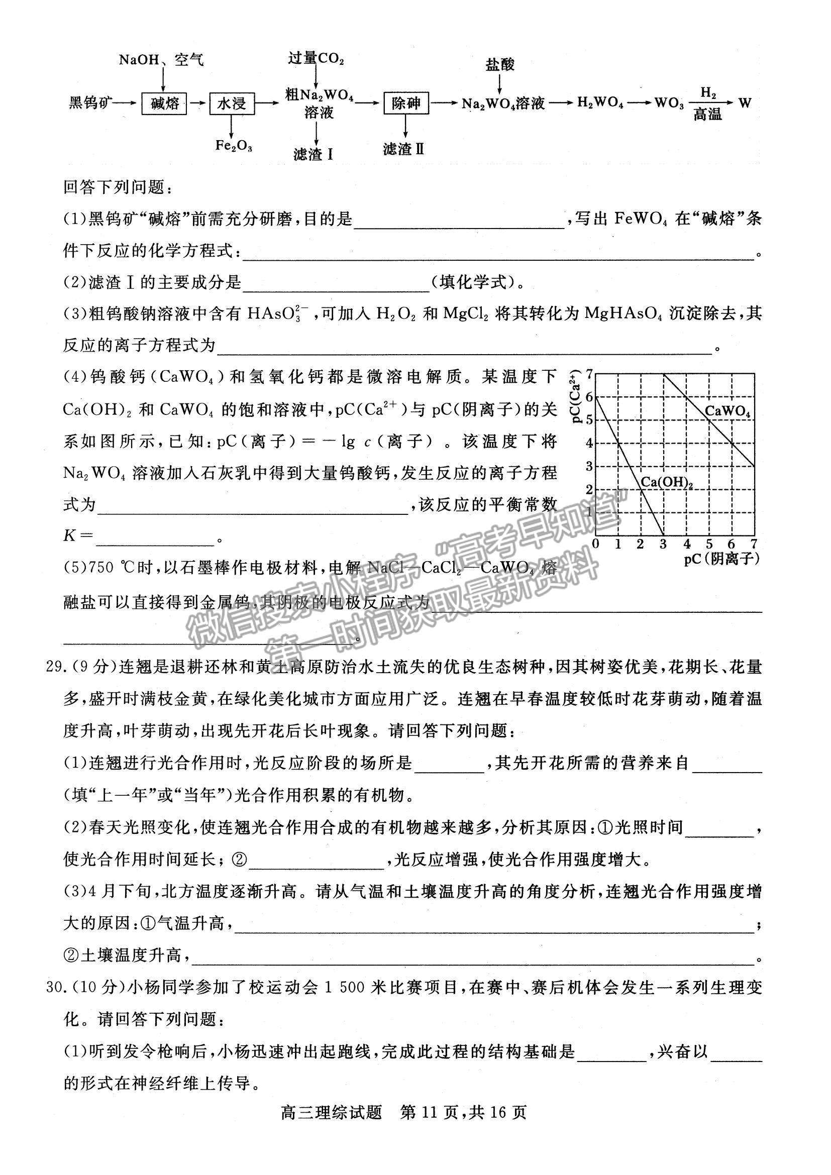 2022山西省高三上學(xué)期期末適應(yīng)性調(diào)研理綜試題及參考答案