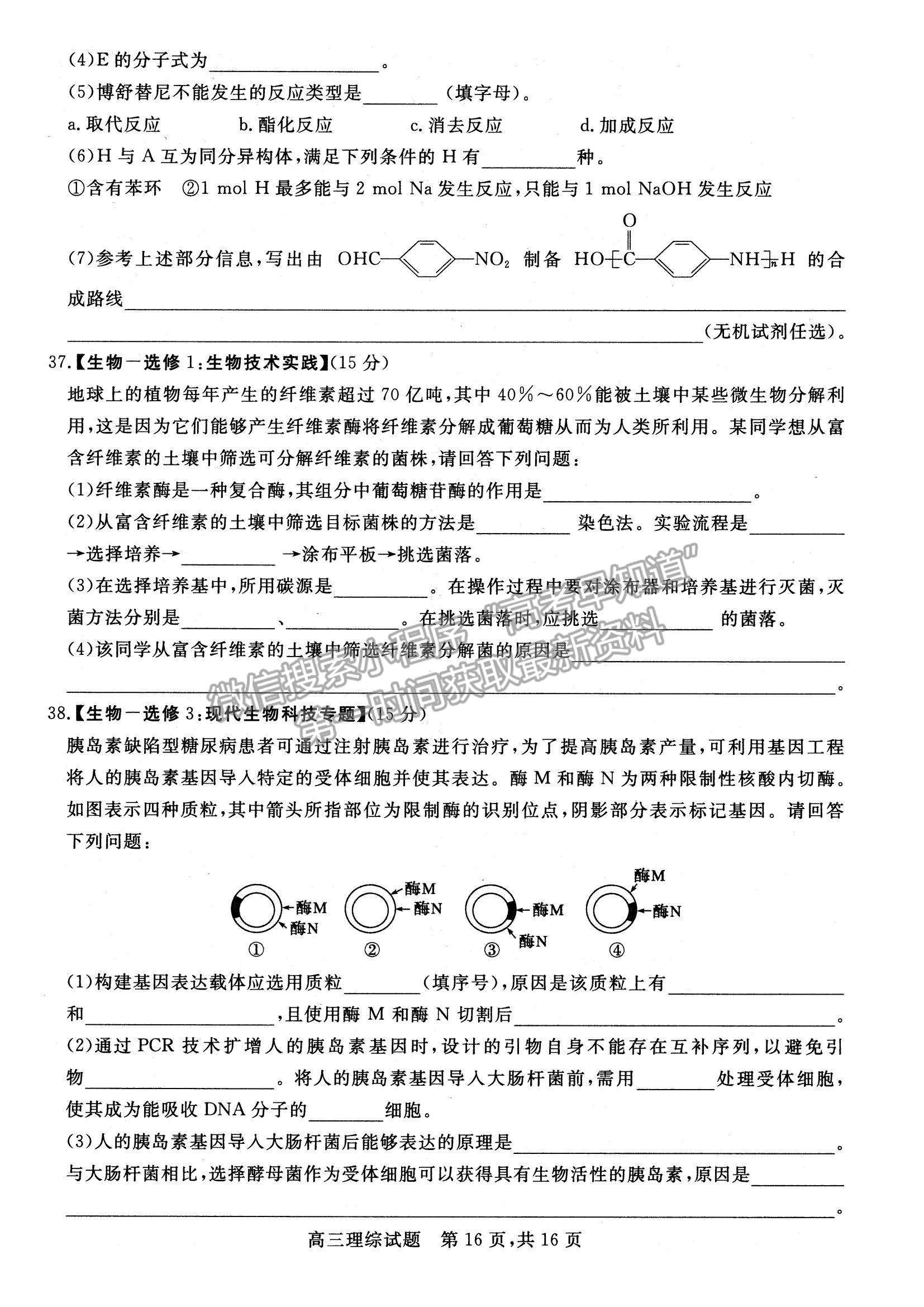 2022山西省高三上學(xué)期期末適應(yīng)性調(diào)研理綜試題及參考答案