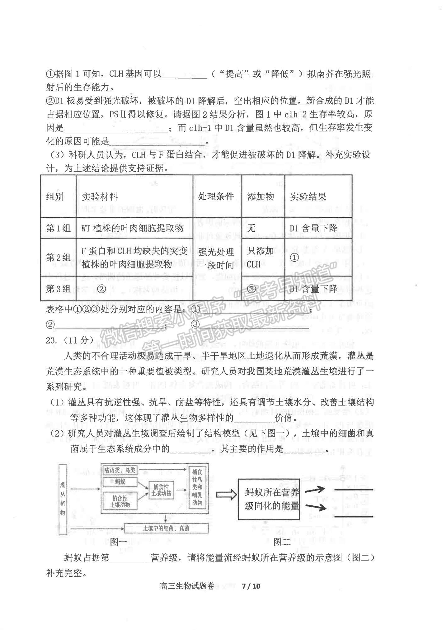 2022遼寧省營口市高三上學期期末教學質量檢測生物試題及參考答案