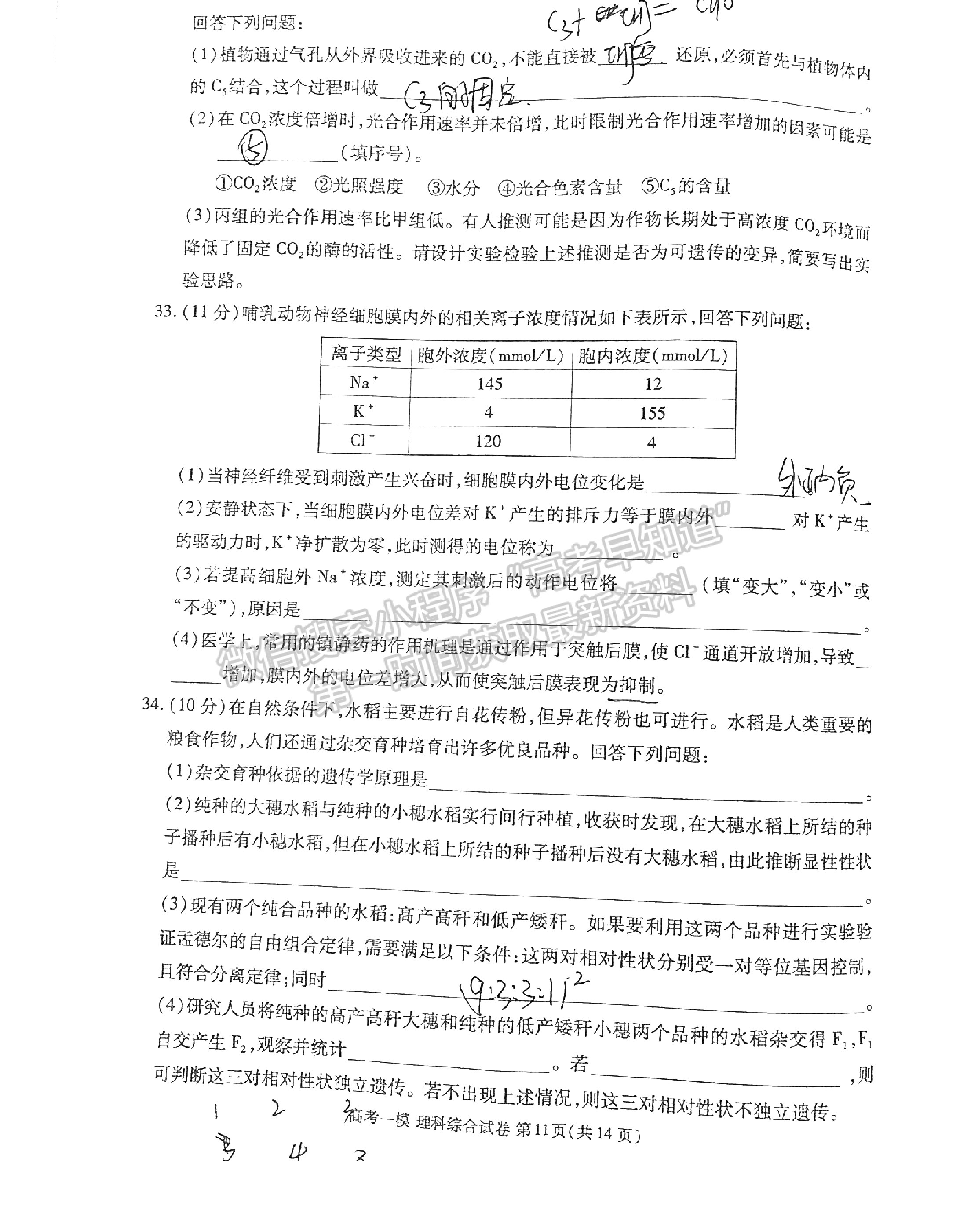 九江市2022年第一次高考模擬統(tǒng)一考試?yán)砭C試卷及參考答案