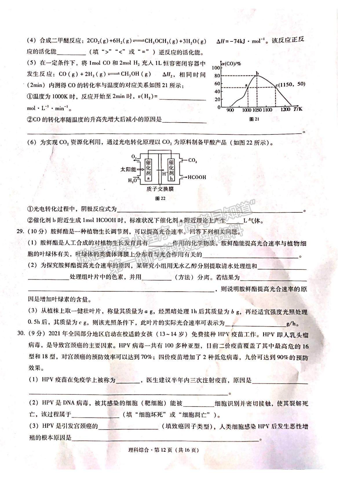 2022云南省昭通市高中畢業(yè)診斷性檢測理綜試題及參考答案