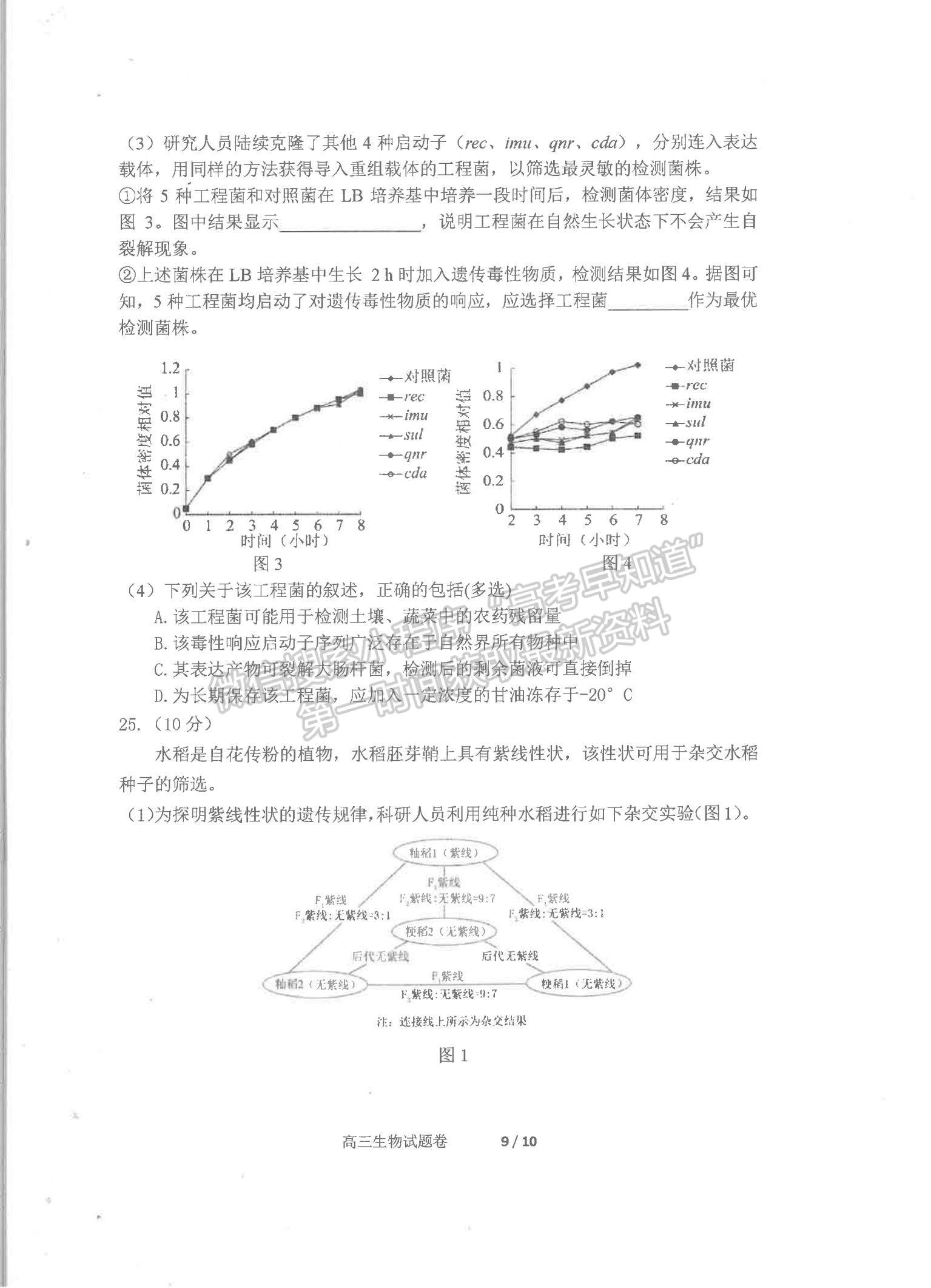 2022遼寧省營口市高三上學(xué)期期末教學(xué)質(zhì)量檢測生物試題及參考答案