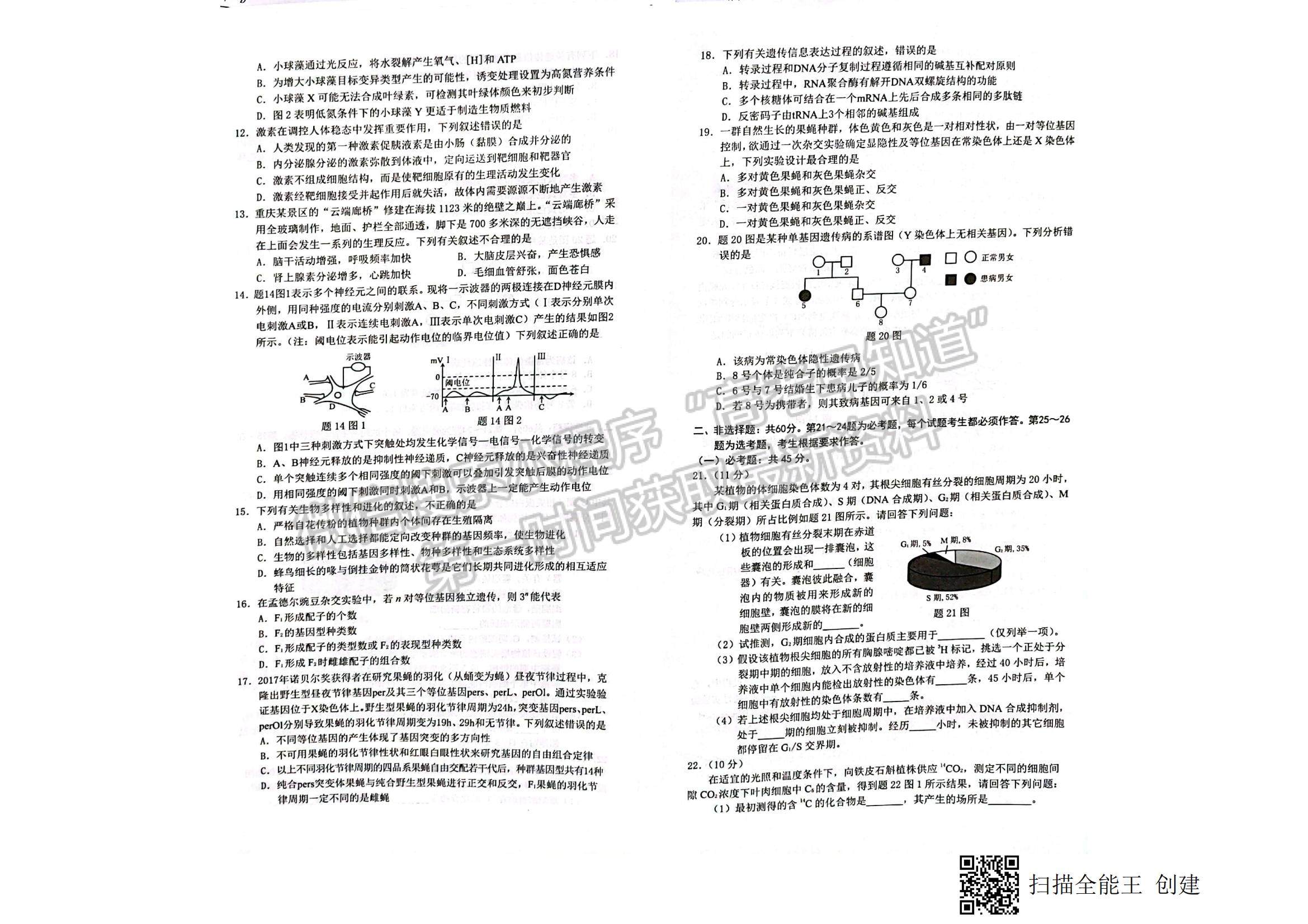 2022重慶市高三第一次聯(lián)合診斷測(cè)試（康德卷）生物試題及參考答案