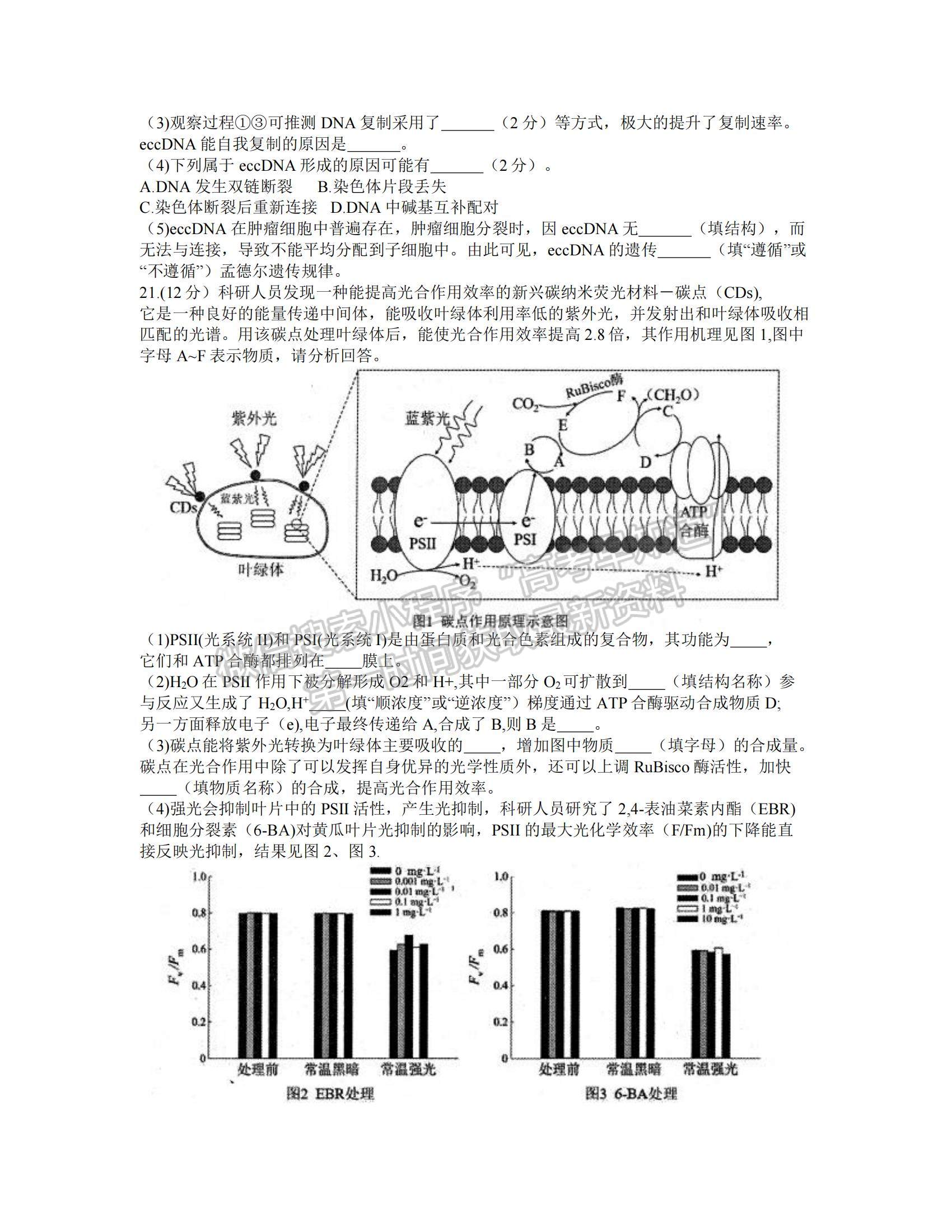 2022江蘇蘇北四市（徐州、淮安、宿遷、連云港）高三上學期期末調研考試生物試題及參考答案