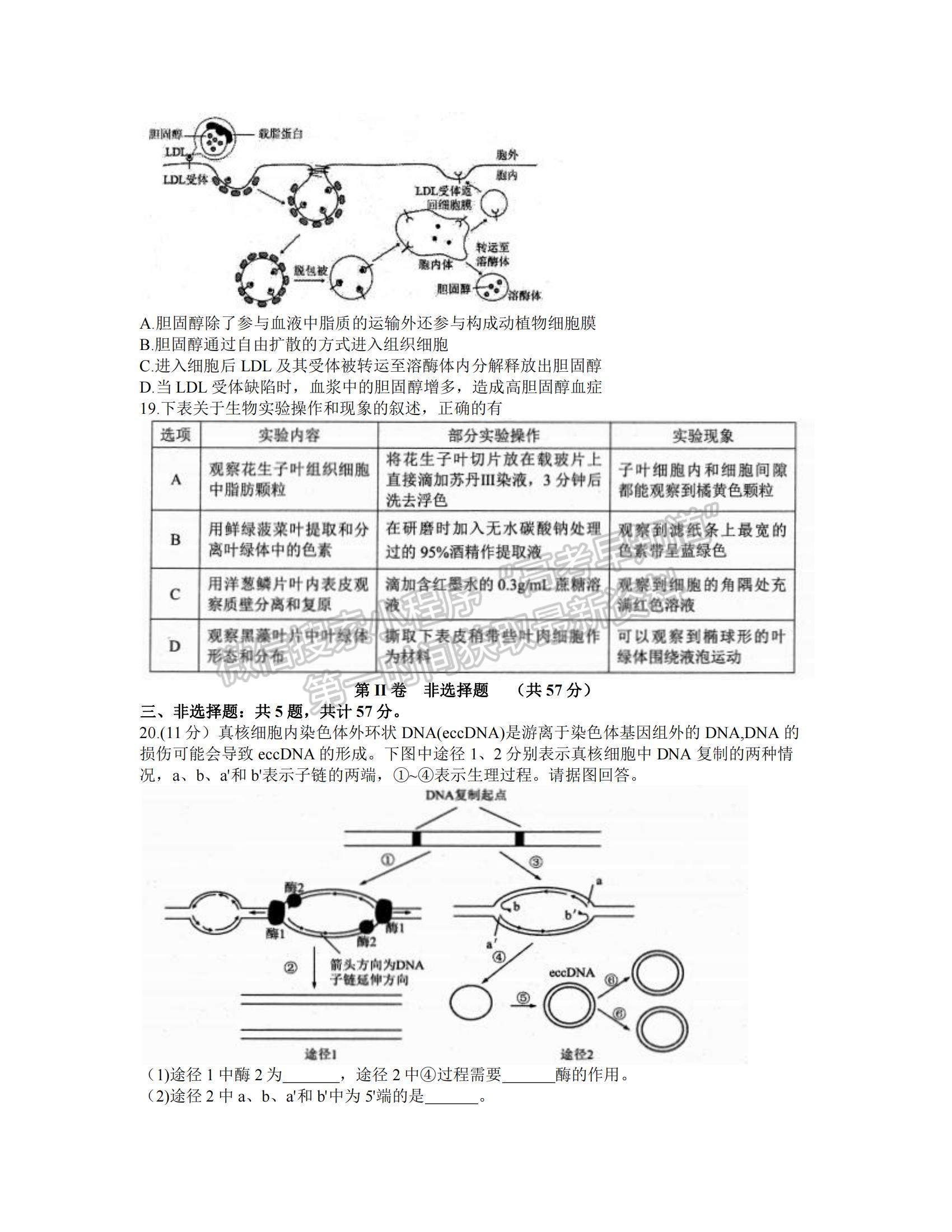 2022江蘇蘇北四市（徐州、淮安、宿遷、連云港）高三上學期期末調研考試生物試題及參考答案