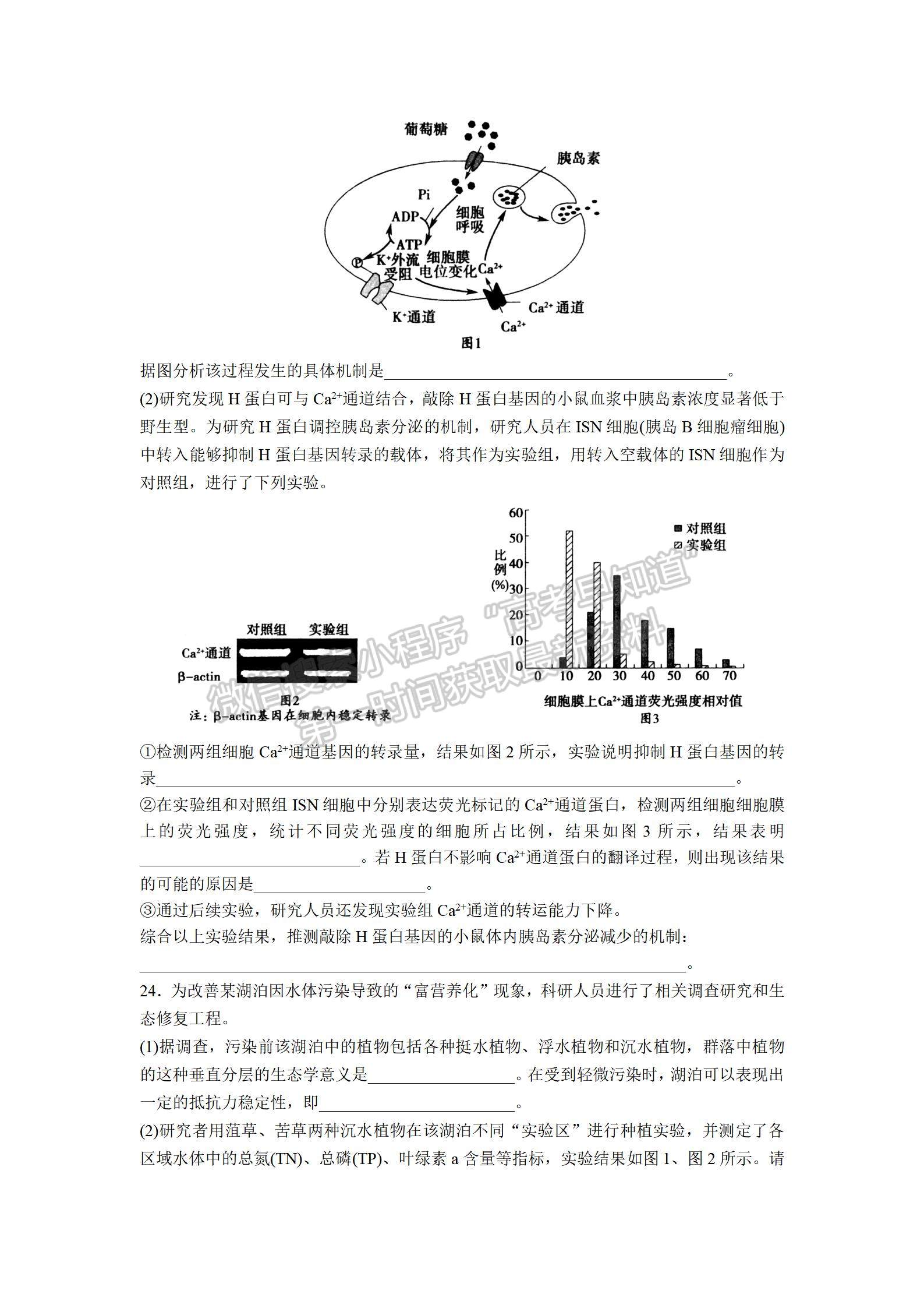 山東省實(shí)驗(yàn)中學(xué)2022屆高三第三次診斷考試 生物試題及參考答案