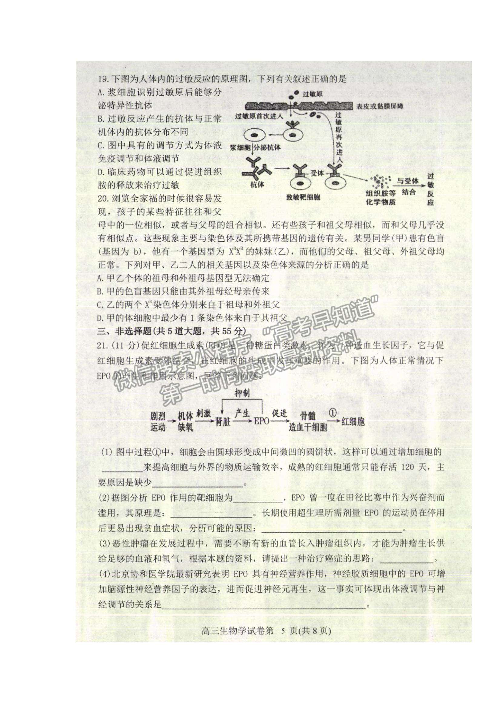 2022遼寧省丹東市高三上學(xué)期期末教學(xué)質(zhì)量監(jiān)測生物試題及參考答案