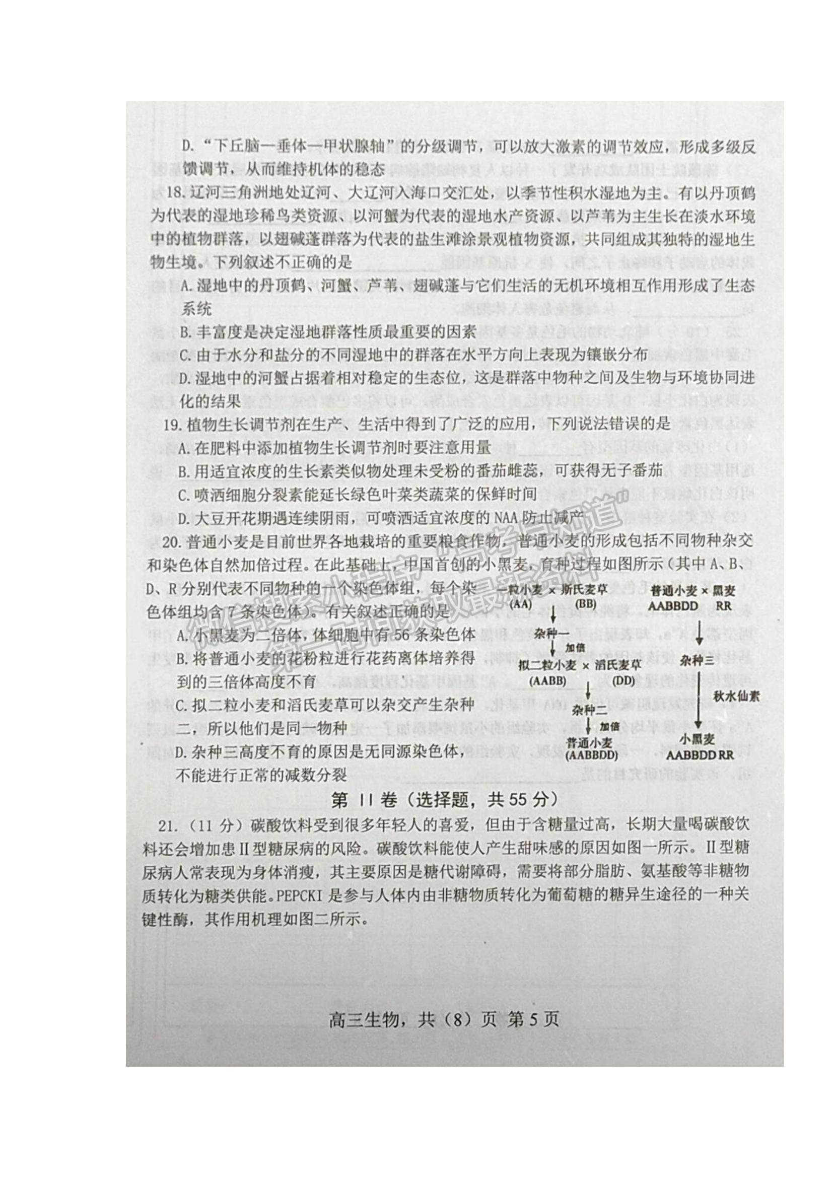 2022遼寧鐵嶺六校高三上學期期末考試生物試題及參考答案