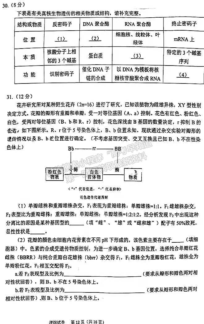 2022安徽六安市省示范高中高三質(zhì)檢（皖西聯(lián)盟）理綜試卷及答案