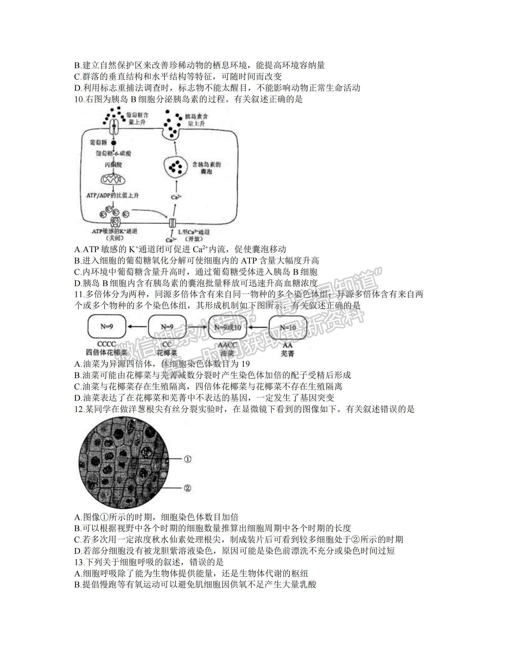 2022江蘇蘇北四市（徐州、淮安、宿遷、連云港）高三上學(xué)期期末調(diào)研考試生物試題及參考答案