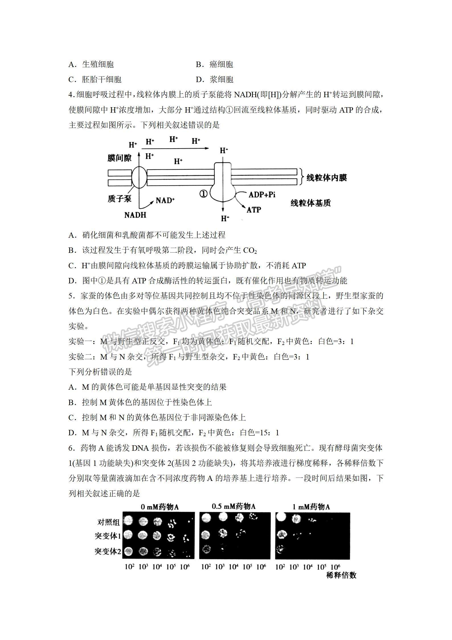 山東省實驗中學(xué)2022屆高三第三次診斷考試 生物試題及參考答案