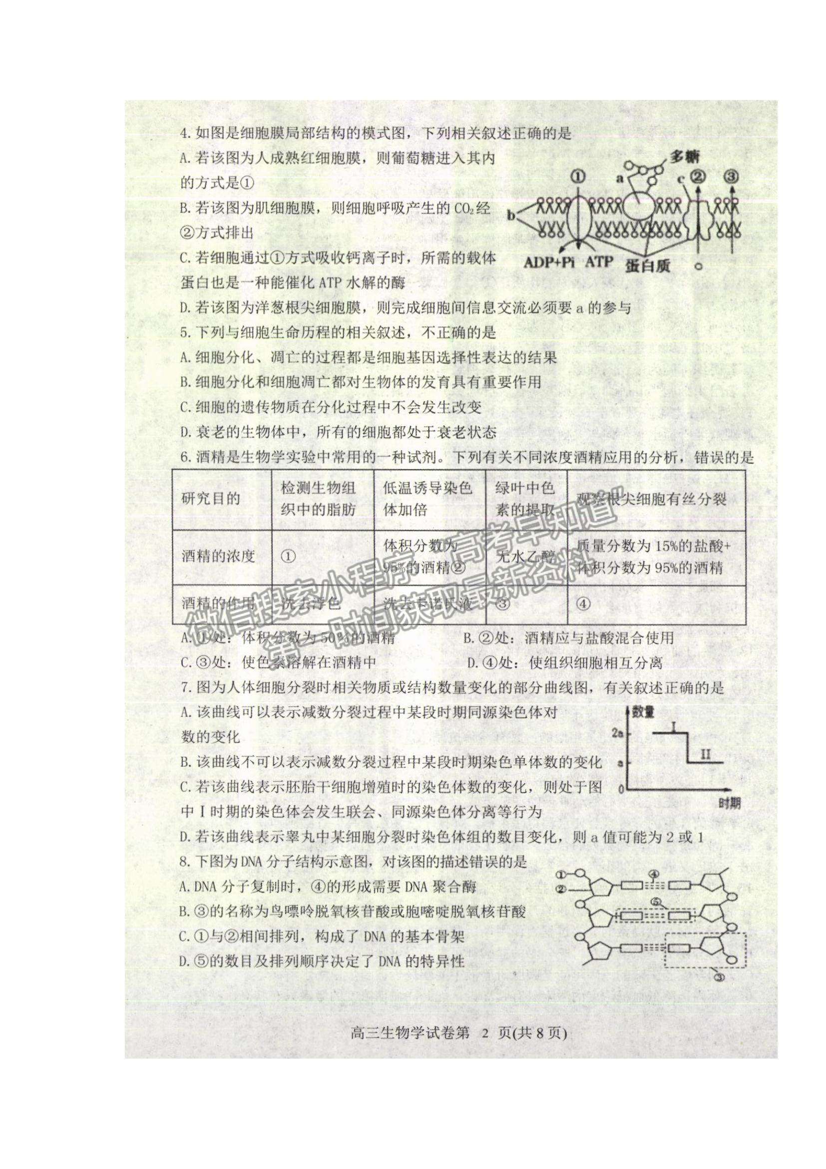 2022遼寧省丹東市高三上學(xué)期期末教學(xué)質(zhì)量監(jiān)測(cè)生物試題及參考答案