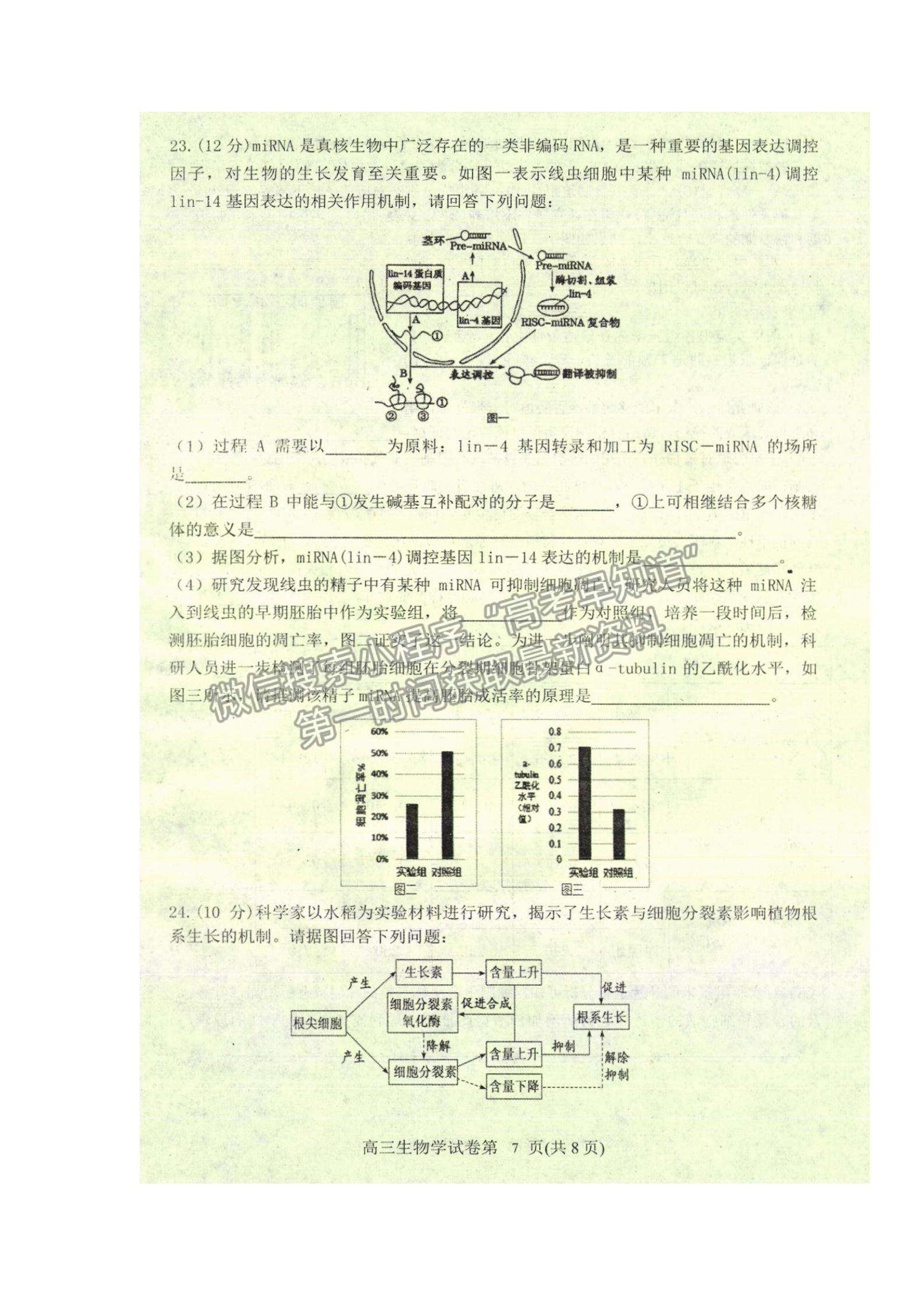 2022遼寧省丹東市高三上學(xué)期期末教學(xué)質(zhì)量監(jiān)測(cè)生物試題及參考答案