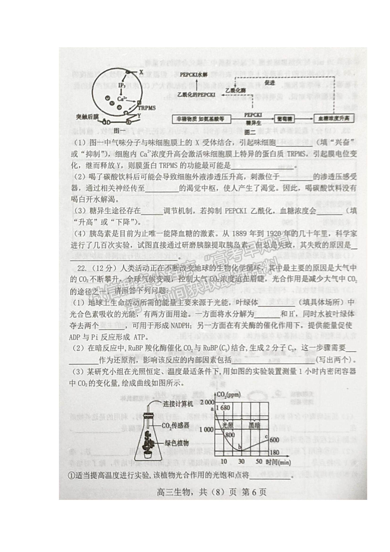 2022遼寧鐵嶺六校高三上學期期末考試生物試題及參考答案