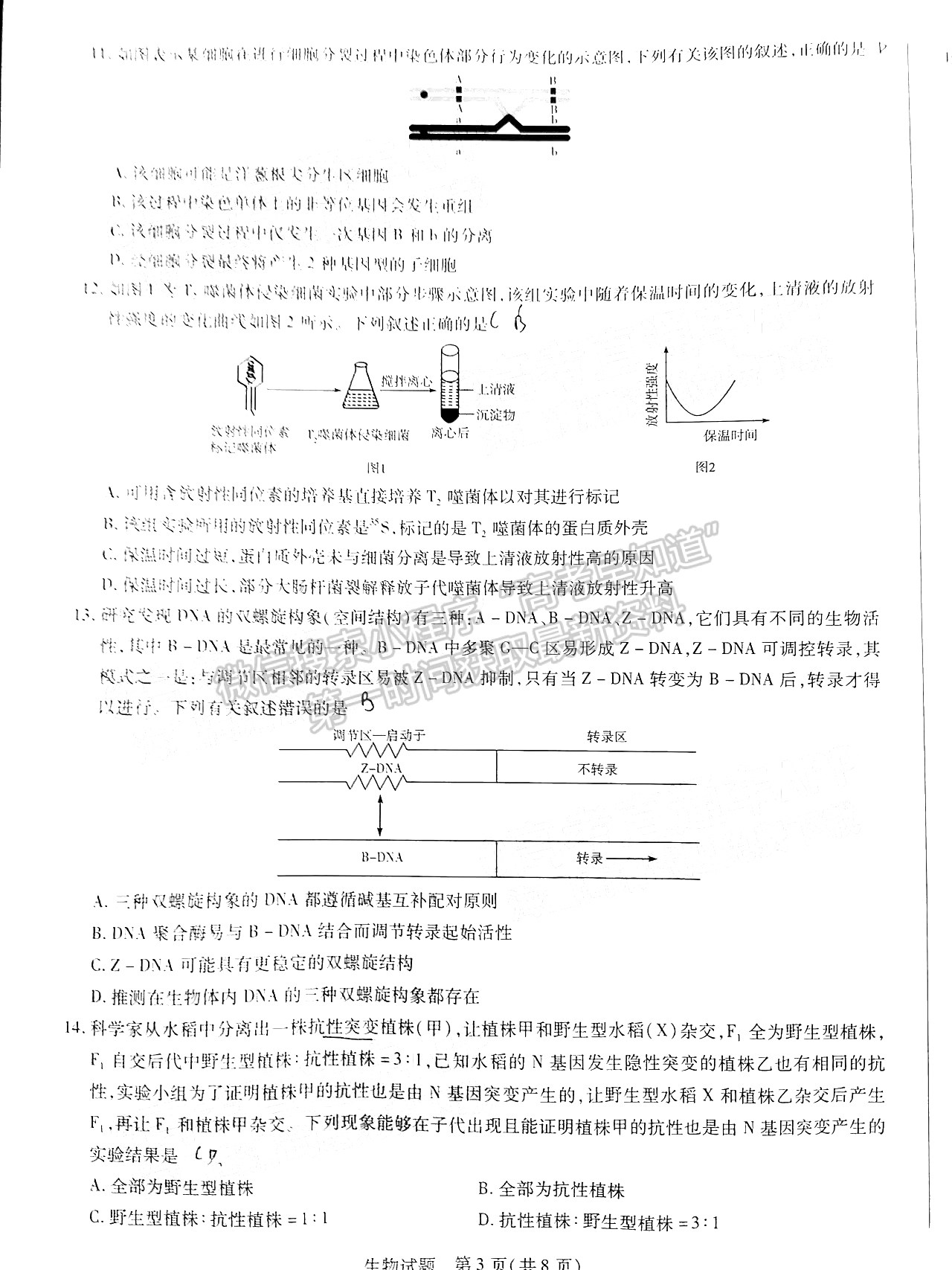 2022安徽亳州一模生物試卷及答案