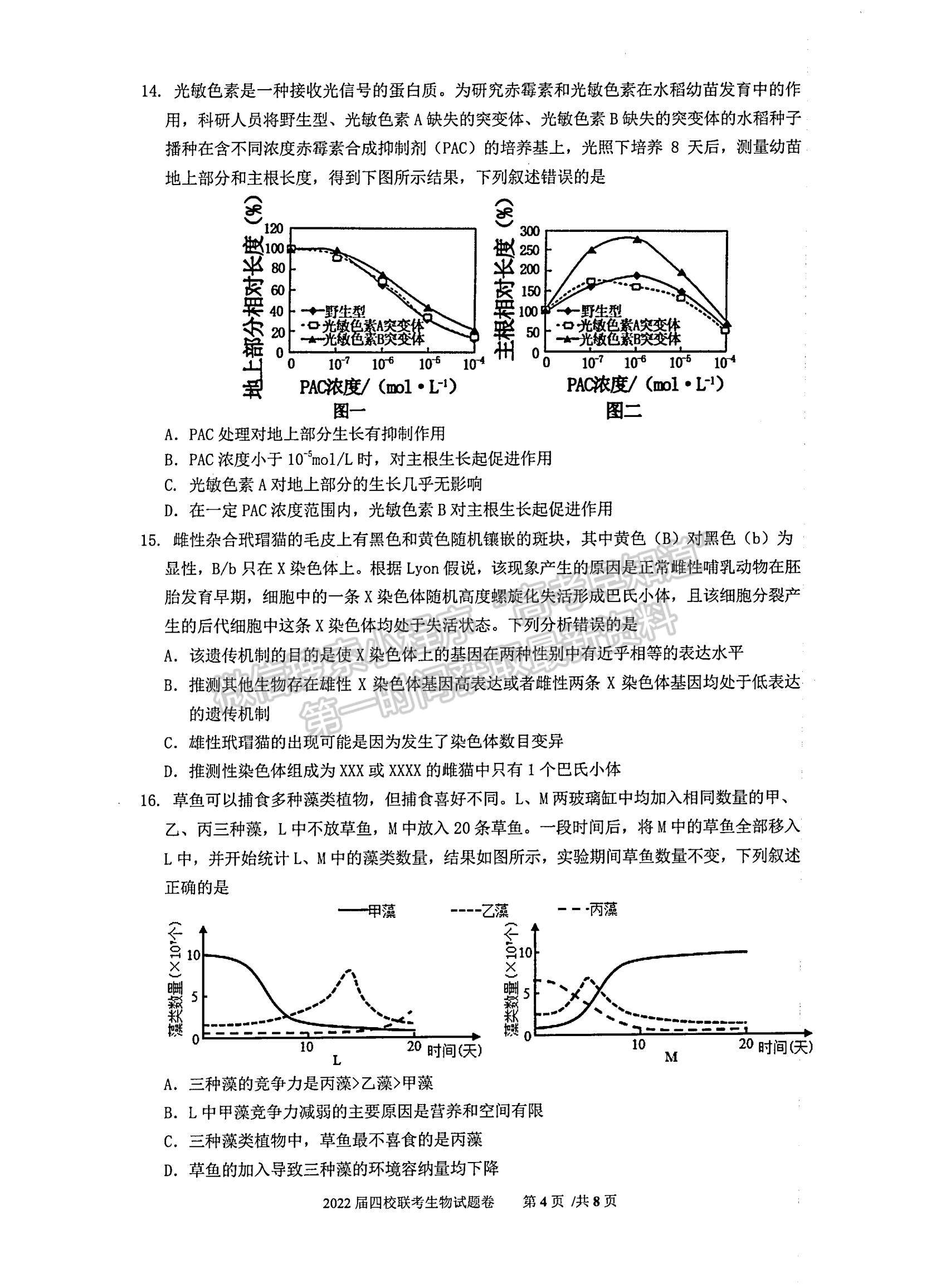 2022廣東省華附、省實(shí)、廣雅、深中四校高三上學(xué)期期末聯(lián)考生物試題及參考答案