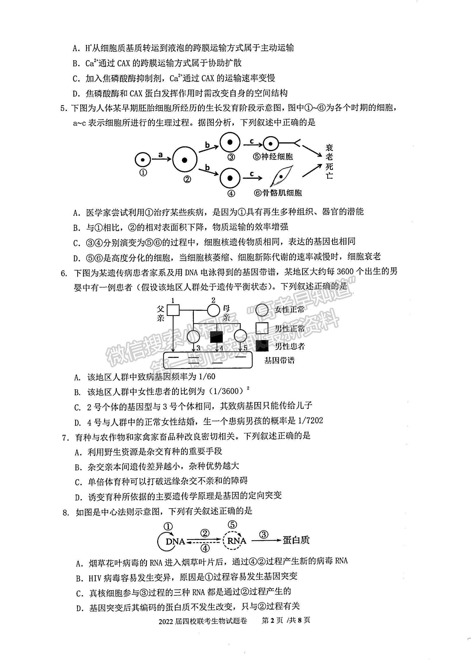 2022廣東省華附、省實、廣雅、深中四校高三上學期期末聯(lián)考生物試題及參考答案