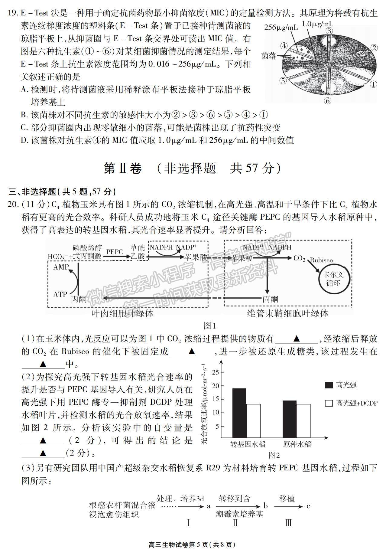 2022江蘇省無(wú)錫市高三上學(xué)期期終調(diào)研考試生物試題及參考答案