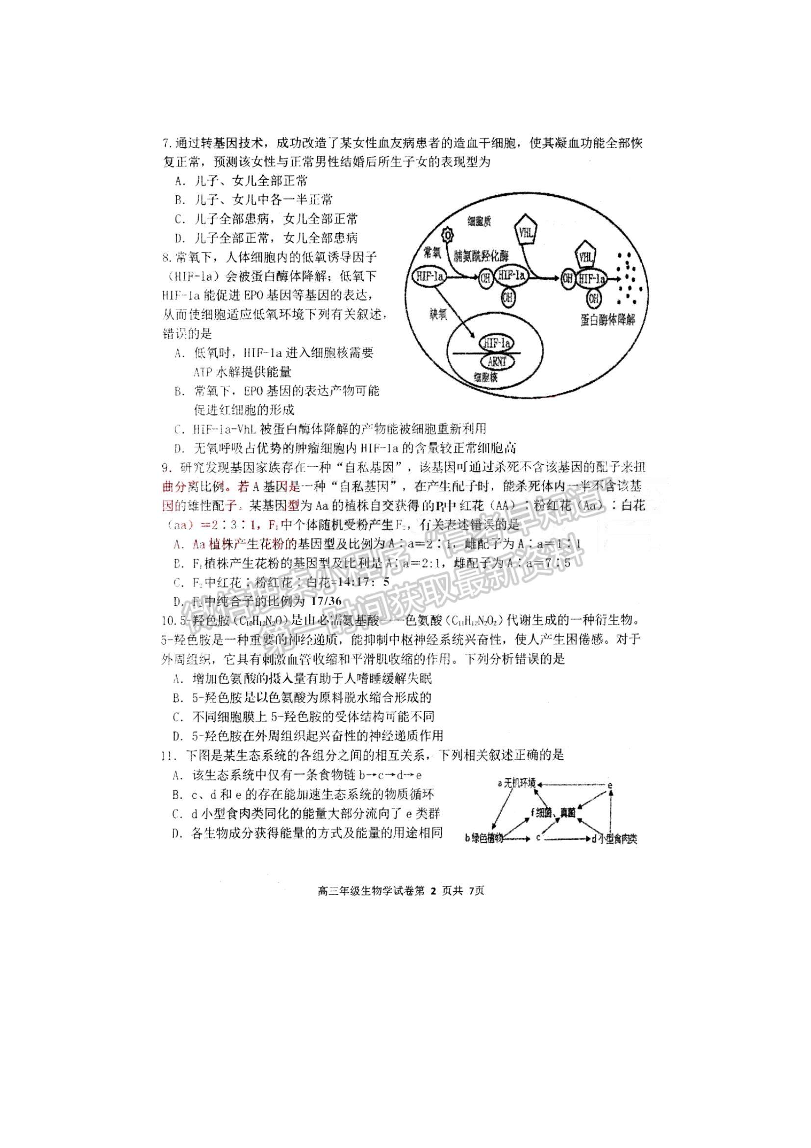 2022遼寧五校（遼寧省實驗、東北育才、鞍山一中、大連八中、大連24中）高三上學期期末考試生物試題及參考答案