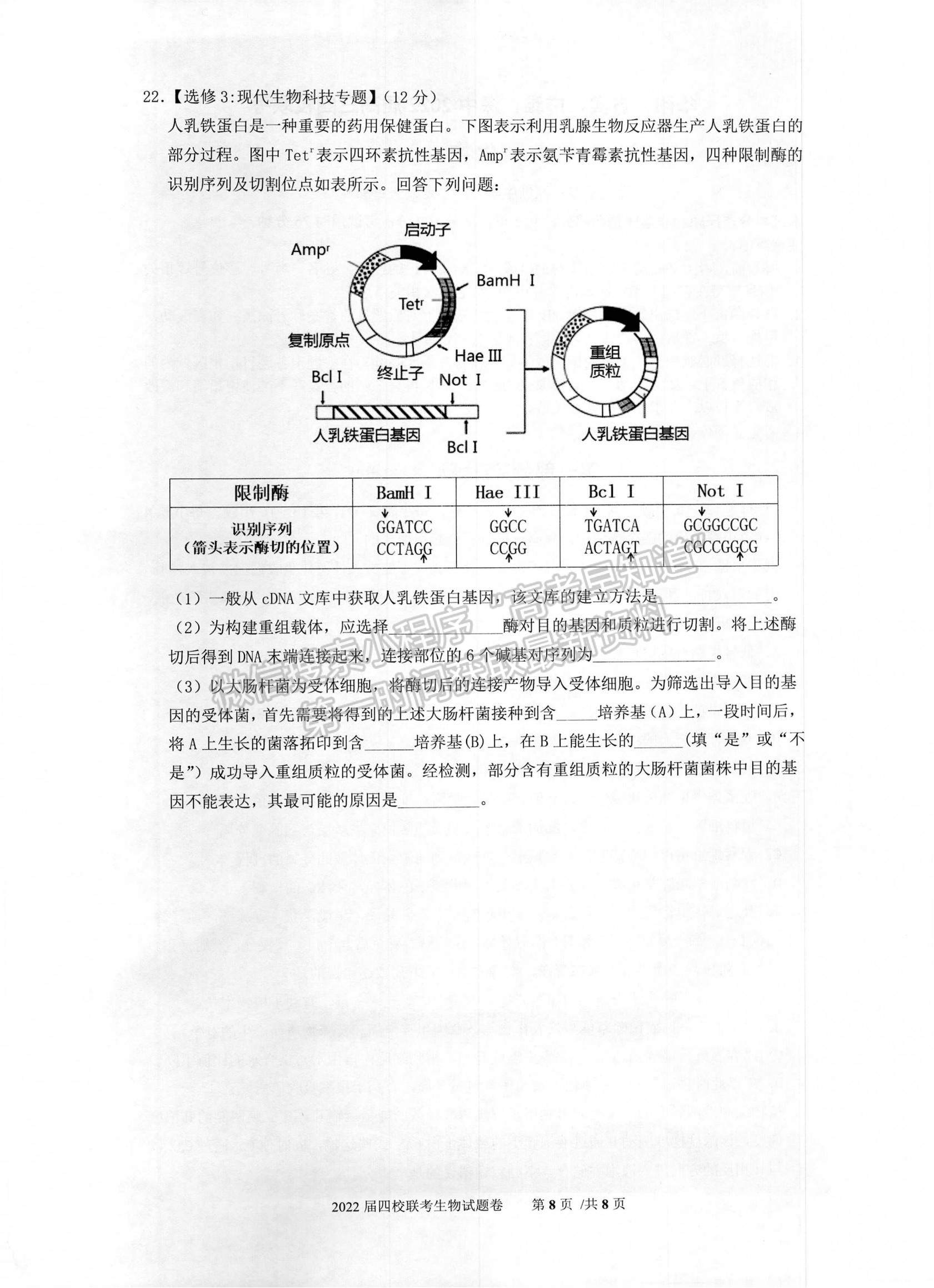 2022廣東省華附、省實(shí)、廣雅、深中四校高三上學(xué)期期末聯(lián)考生物試題及參考答案