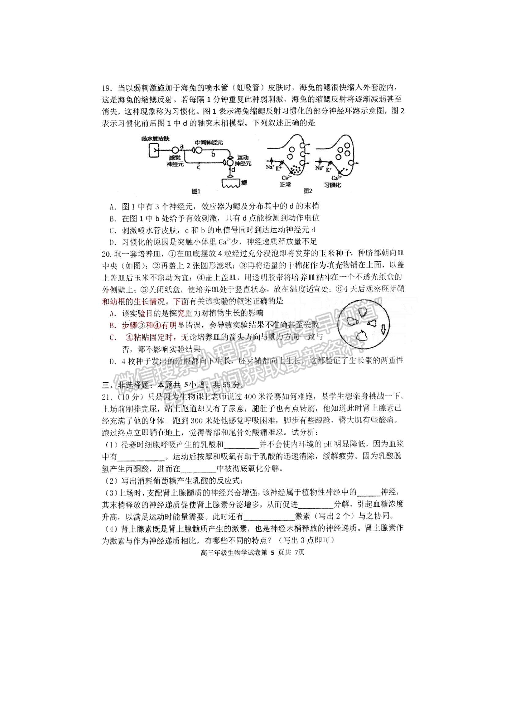 2022遼寧五校（遼寧省實(shí)驗(yàn)、東北育才、鞍山一中、大連八中、大連24中）高三上學(xué)期期末考試生物試題及參考答案