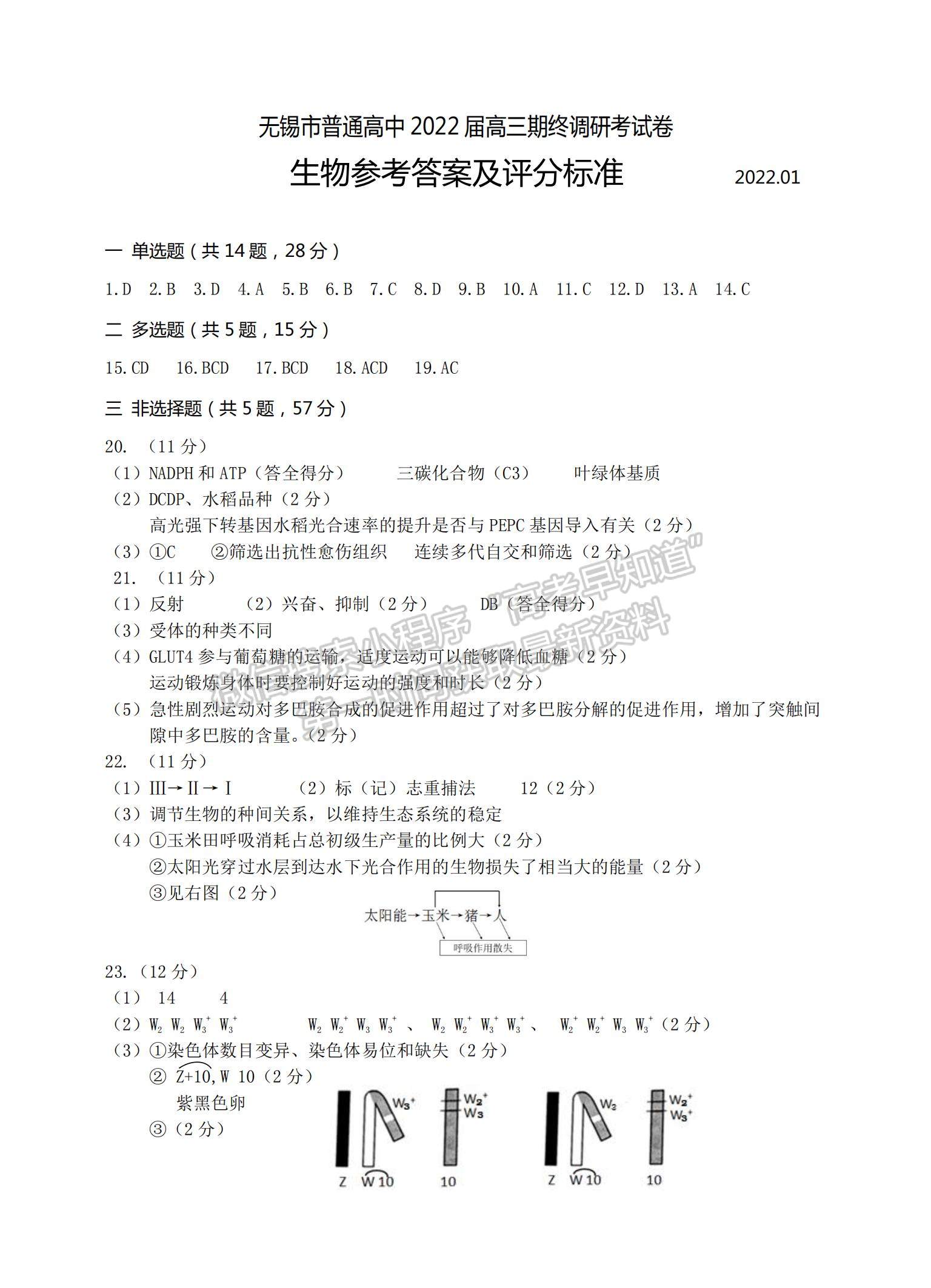 2022江蘇省無錫市高三上學期期終調(diào)研考試生物試題及參考答案