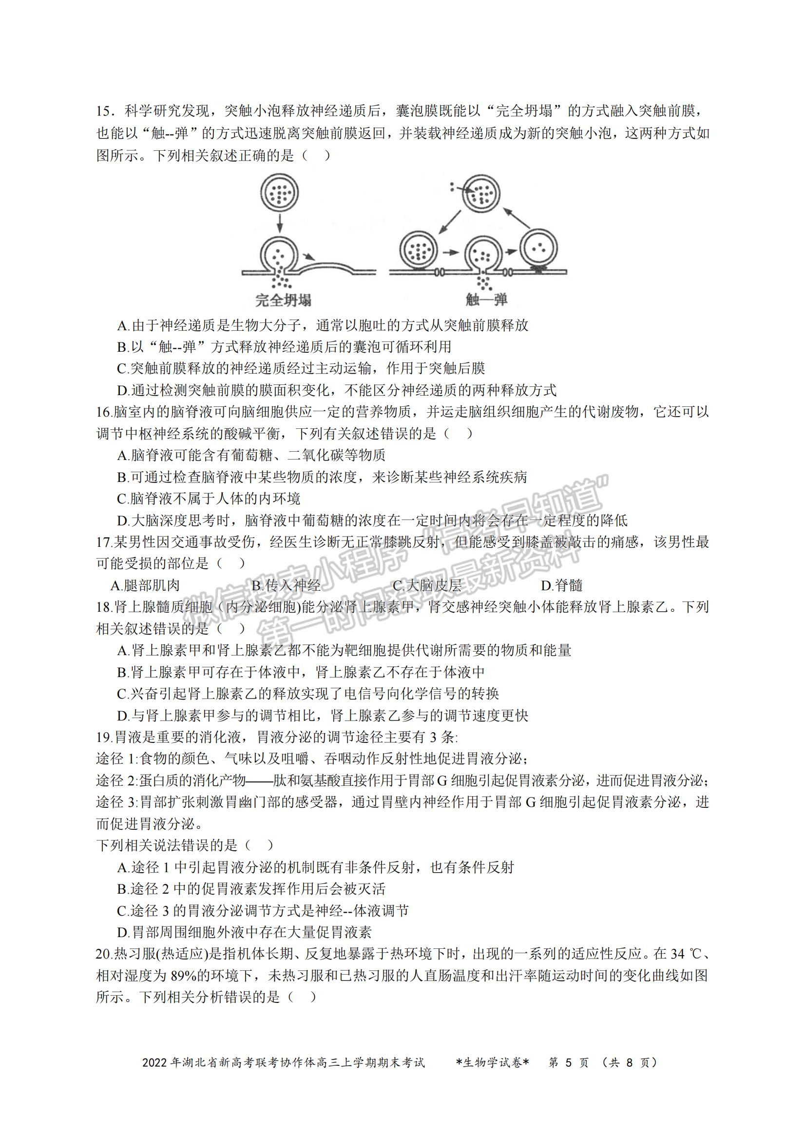 2022湖北新高考聯(lián)考協(xié)作體高三上期末考試生物試卷及答案