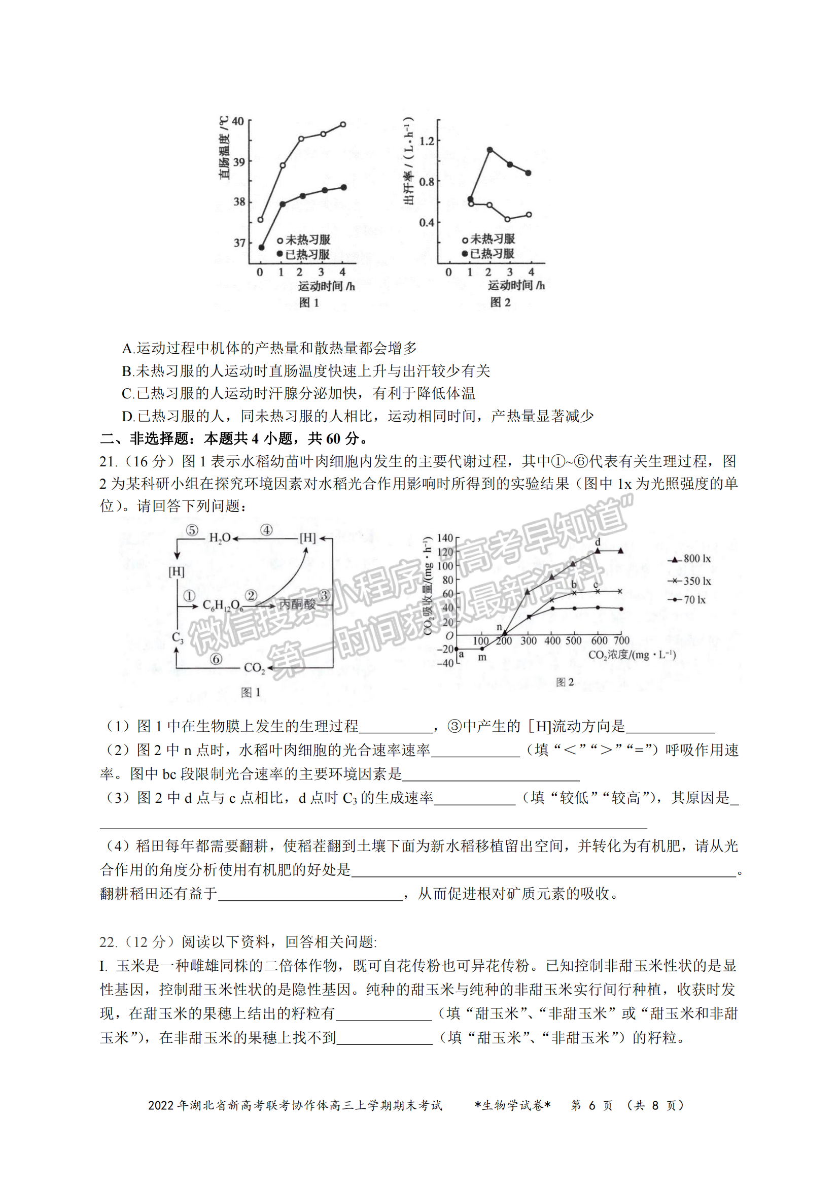 2022湖北新高考聯(lián)考協(xié)作體高三上期末考試生物試卷及答案