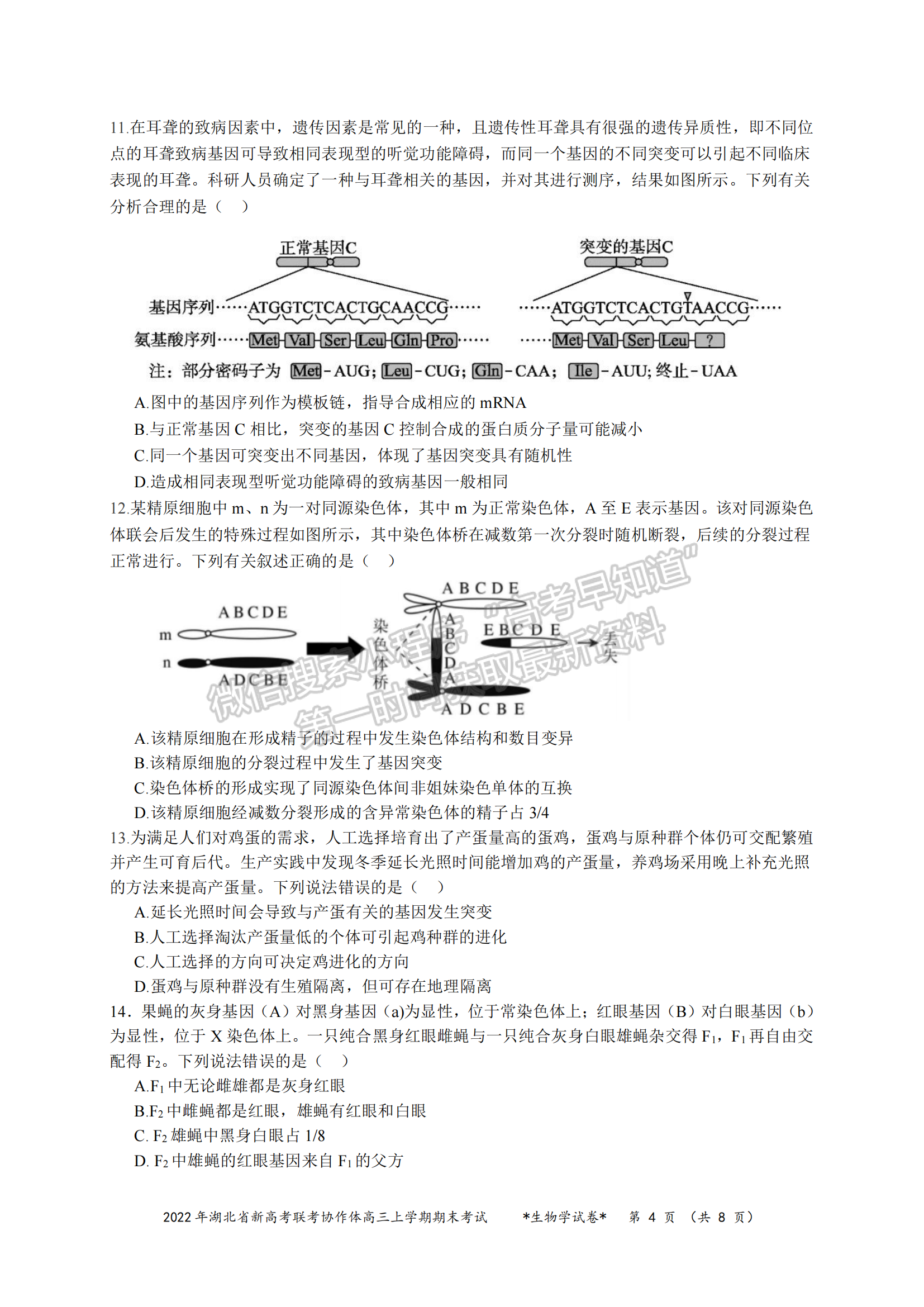 2022湖北新高考聯(lián)考協(xié)作體高三上期末考試生物試卷及答案