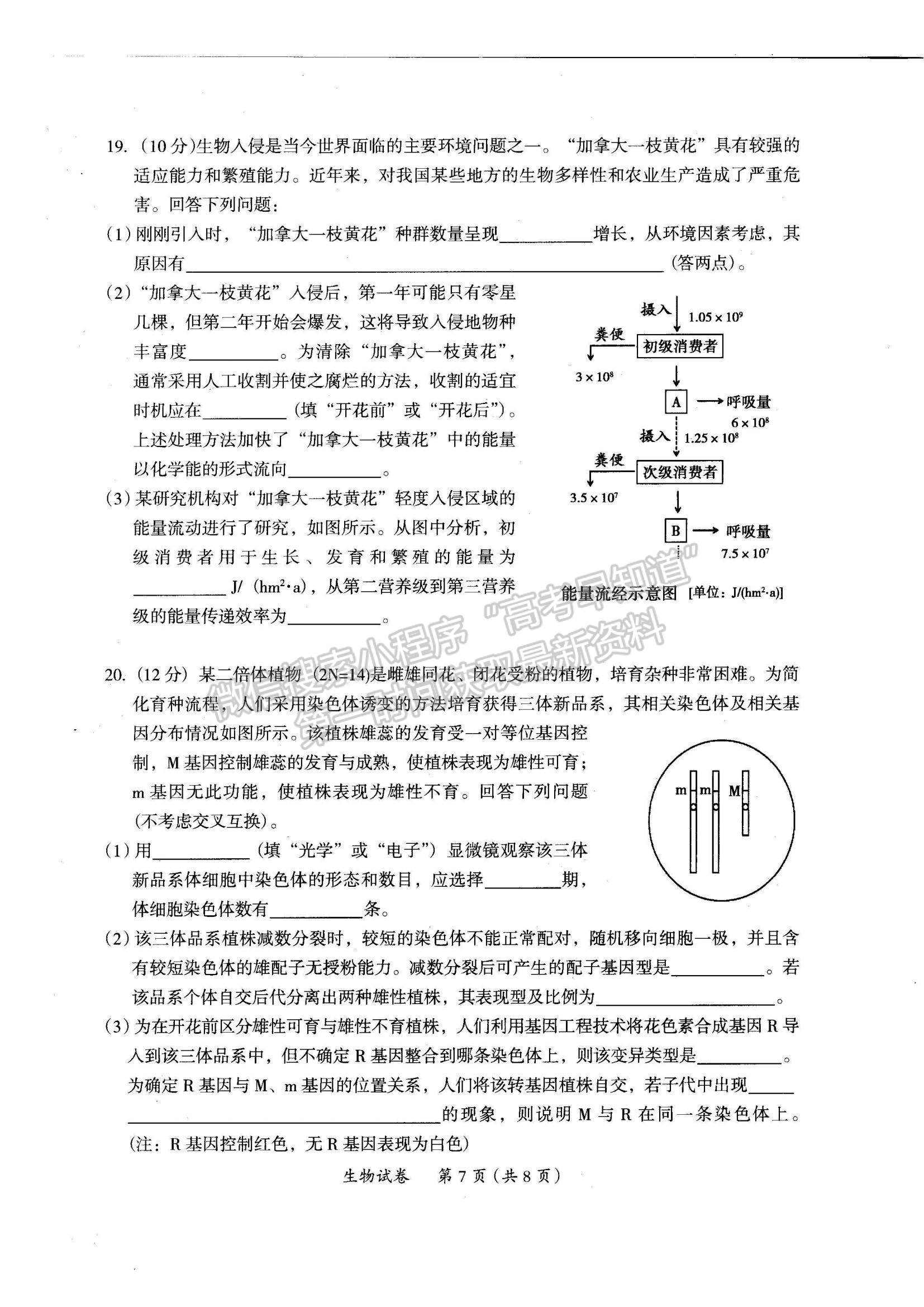 2022廣東省茂名市高三一模生物試題及參考答案