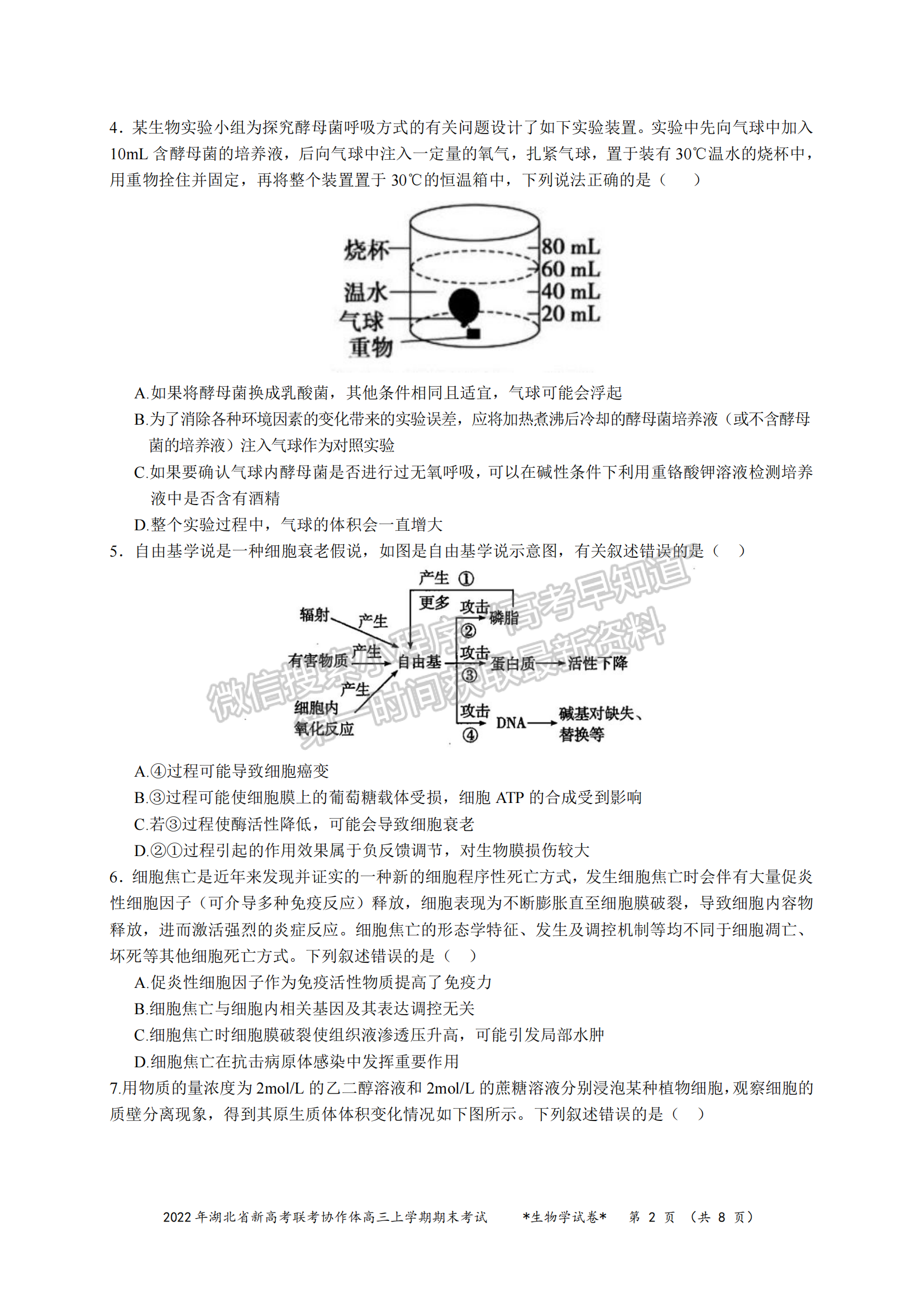 2022湖北新高考聯(lián)考協(xié)作體高三上期末考試生物試卷及答案