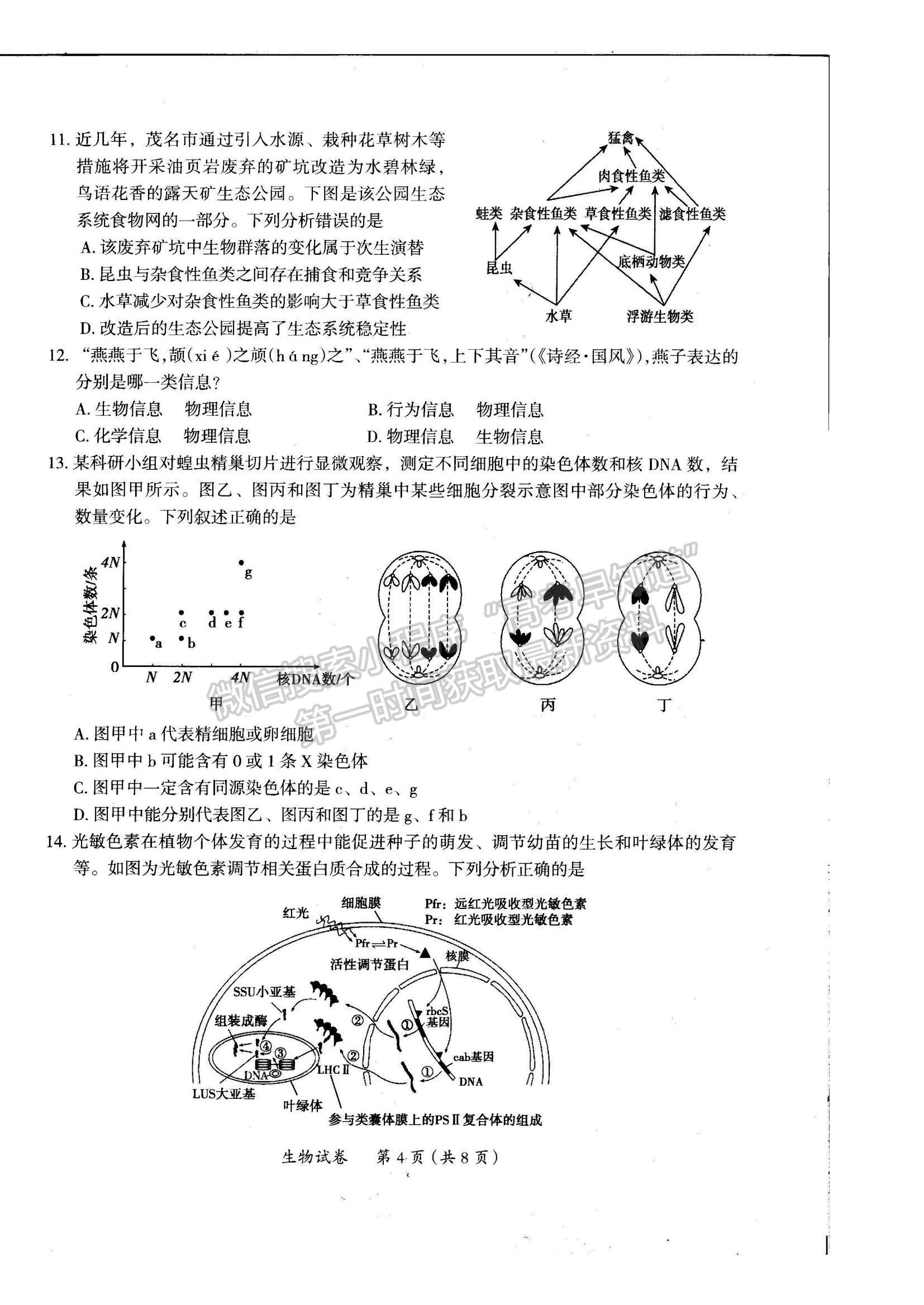 2022廣東省茂名市高三一模生物試題及參考答案