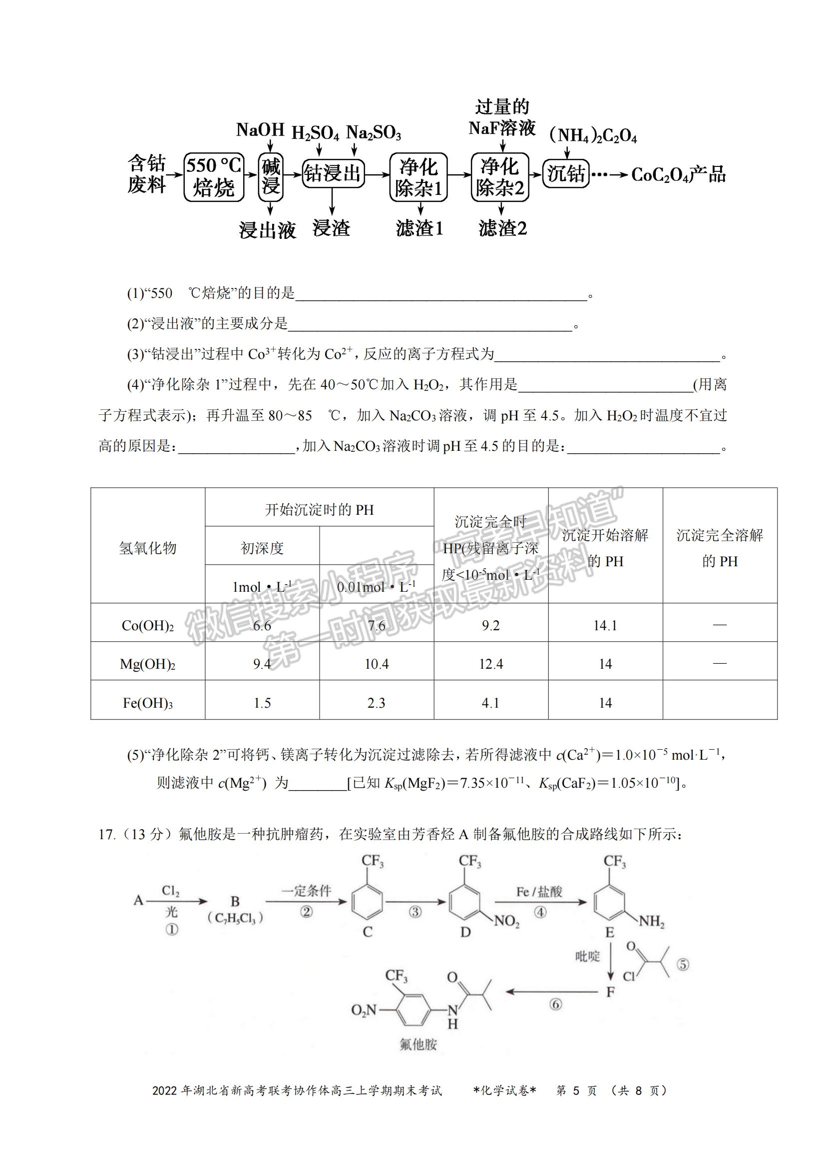 2022湖北新高考聯(lián)考協(xié)作體高三上期末考試化學(xué)試卷及答案