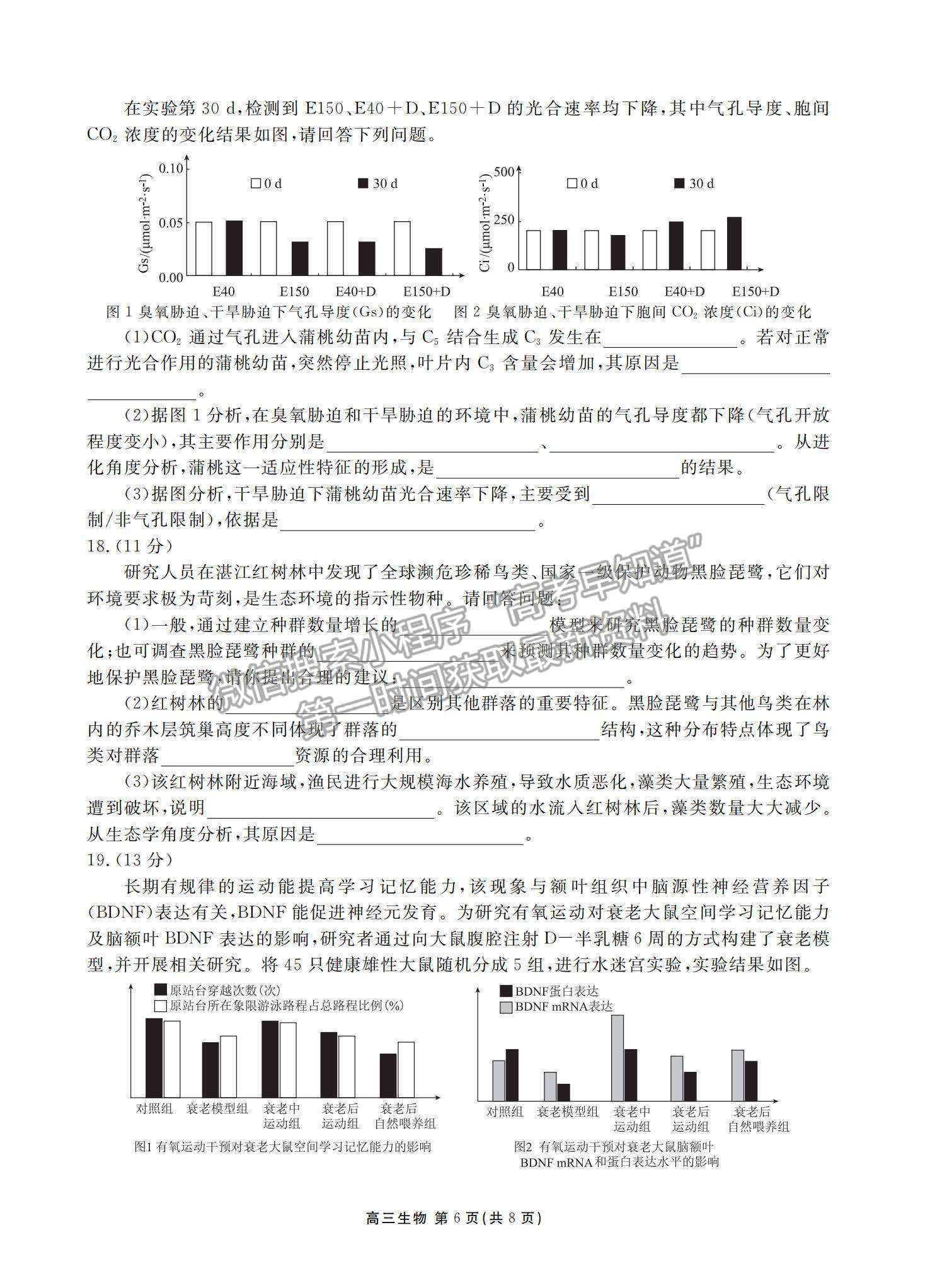 2022廣東省茂名五校聯(lián)盟高三上學(xué)期第二次聯(lián)考生物試題及參考答案