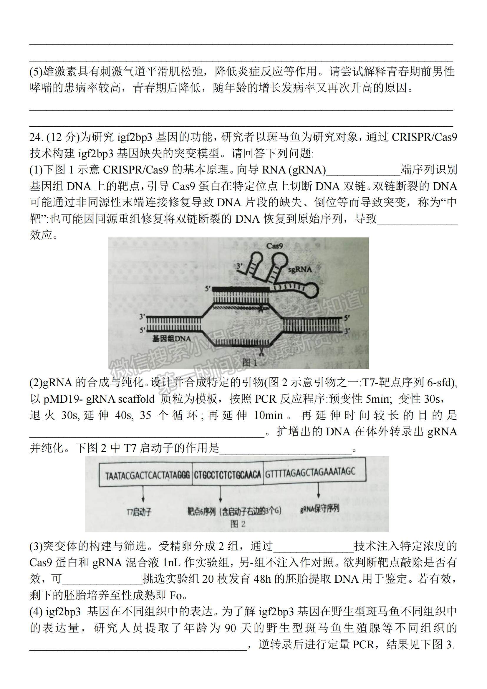 2022江蘇省泰州市高三上學期期末考試生物試題及參考答案