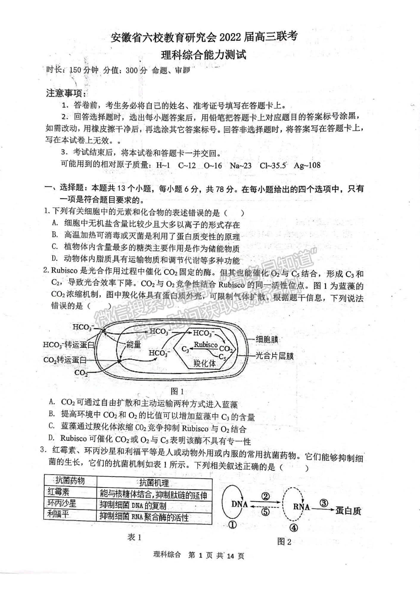 2022安徽六校教育研究會(huì)高三第二次教學(xué)質(zhì)量檢測(cè)理綜試卷及答案